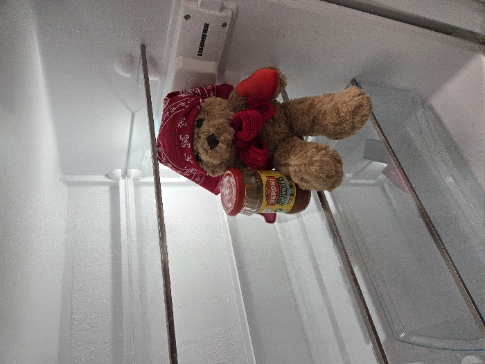 The image displays the interior of a Liebherr refrigerator, presenting a sparse, frosted environment within a residence in Varna, Bulgaria. The white interior walls and ceiling are uniformly coated with fine frost and ice droplets. Two clear glass shelves span the width of the compartment, with a clear plastic crisper drawer visible below the lower shelf. On the upper glass shelf, a brown teddy bear, approximately 25 cm in height, is seated. The bear is adorned with a red bandana featuring white patterns tied around its head, a red scarf around its neck, and red mittens on its paws. To the left of the teddy bear, also on the upper shelf, sits a small glass jar with a red screw-top lid. The jar contains a reddish-orange spread, and its label, partially visible, identifies the product as "DERONI LYUTENITSA." The refrigerator appears otherwise empty.