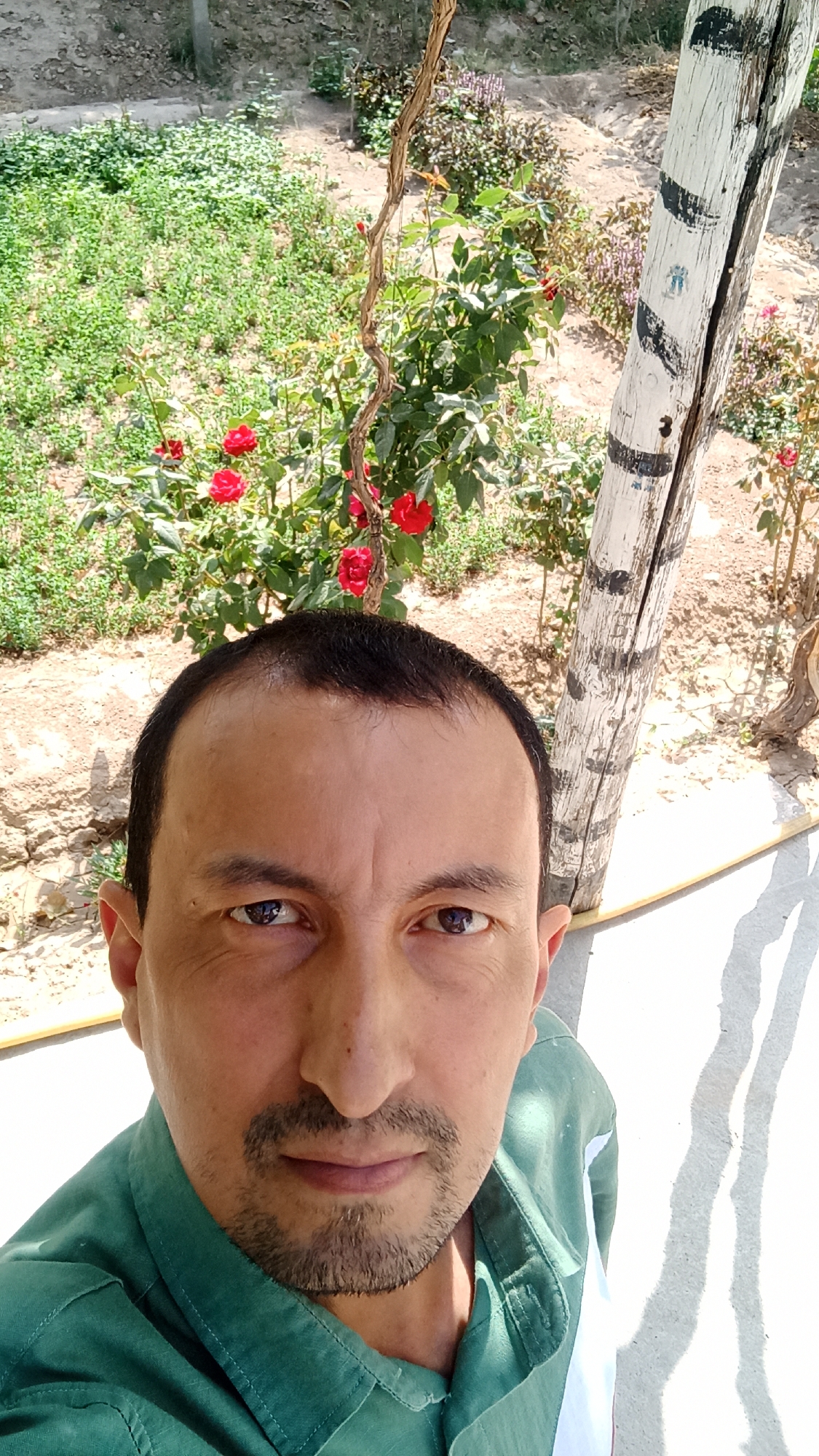 A man is taking a selfie outdoors, with a rose bush and a weathered wooden post in the background. The man is wearing a green collared shirt and has short dark hair and a goatee. The environment appears to be a garden or park, with a paved area in the foreground. The image quality is somewhat grainy, with harsh sunlight creating strong shadows. The city of Gagarin, Uzbekistan, is known for its agricultural and industrial activities, but this specific scene does not provide any definitive clues to its exact location within the city.