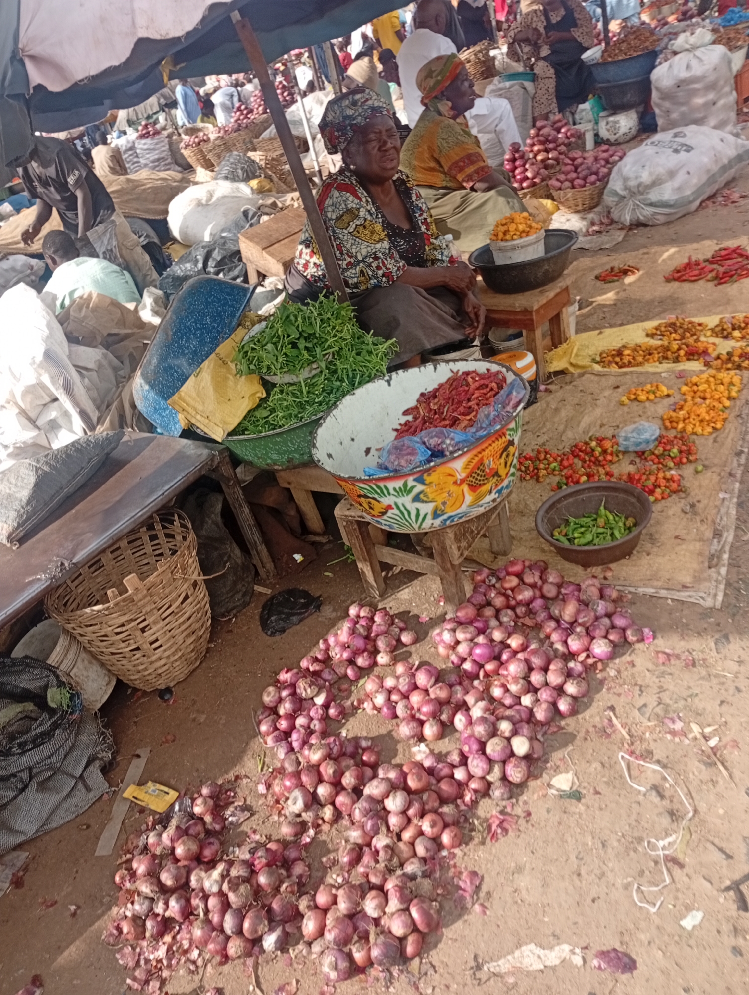 This image depicts an outdoor market scene in Rafin Par, Nigeria. Two women are the primary subjects, seated and appearing to be vendors. The woman in the foreground is wearing a colorful headscarf and a patterned dress. To her right, another woman is seated and also appears to be involved in selling produce.
The ground is covered with various agricultural products, predominantly red onions, which are piled in large quantities. Several baskets are visible, some filled with goods, and others empty. In the mid-ground, there are bowls and containers holding more produce, including green leafy vegetables and what appear to be chili peppers of various colors (red and yellow). Large sacks, likely for storage or transport, are also present in the background. The market is set up under a makeshift shelter, indicated by the awning visible at the top of the image. The ground surface is dusty earth. People are partially visible in the background, suggesting a busy marketplace. One person in the mid-left is wearing a dark t-shirt and appears to be interacting with goods.
