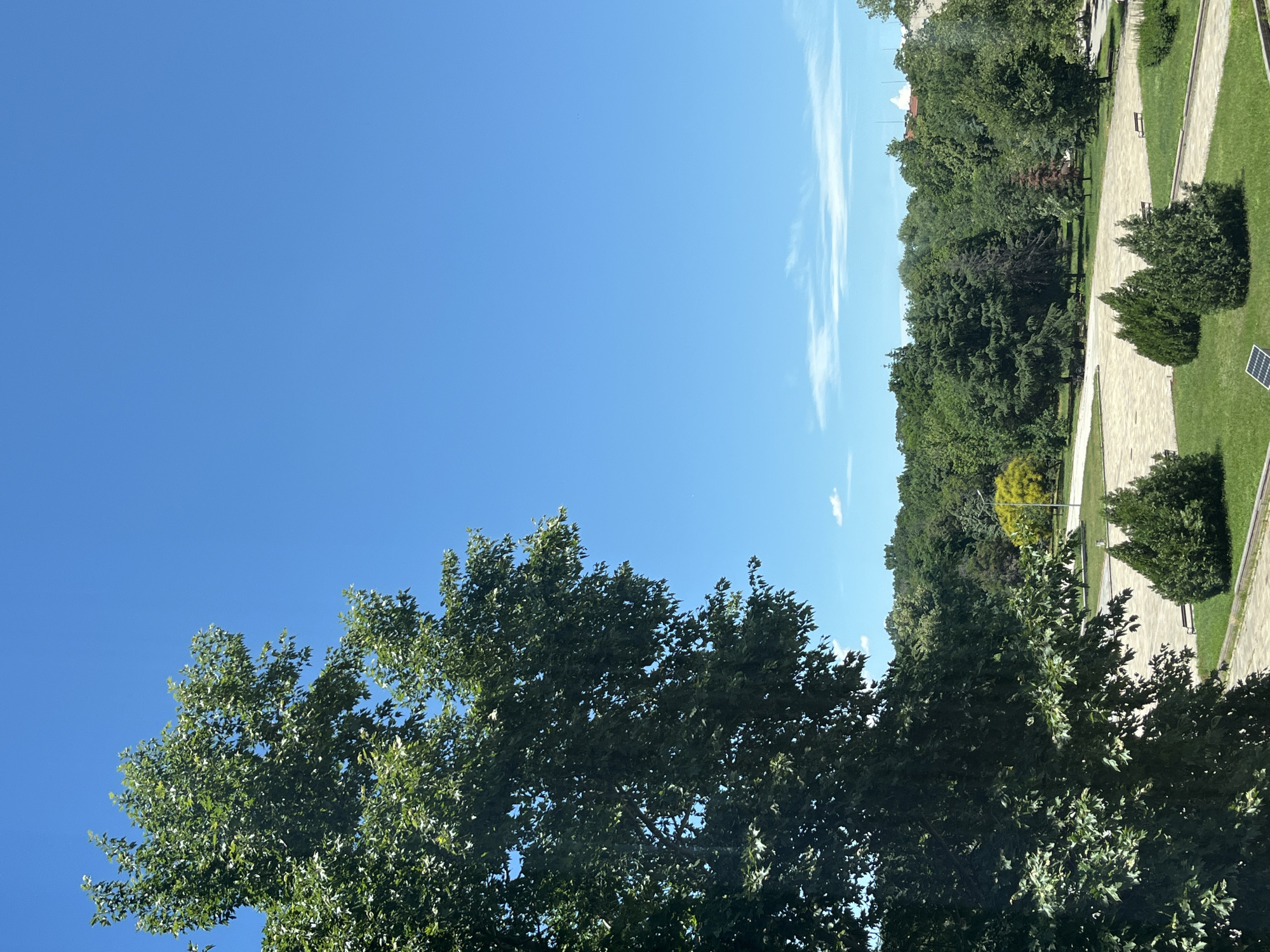 The image depicts a daytime scene in a park, likely in Plovdiv, Bulgaria, with a bright blue sky dominating the upper portion. In the foreground, a large deciduous tree with lush green foliage extends from the left side of the frame, partially obscuring the view of the park.
The park itself features paved pathways forming geometric patterns on the ground. Several manicured evergreen shrubs are strategically placed on grassy areas adjacent to the pathways. In the middle ground, a dense line of diverse trees, varying in shades of green and including a prominent yellow-leafed tree, stretches across the horizon. The background reveals more trees and the tops of buildings, suggesting an urban park setting. Two park benches are visible on the grass, and a small solar panel is situated on the ground near the evergreen shrubs in the lower right quadrant. The scene is serene and bathed in natural sunlight, indicative of a clear, warm day. There are no people or animals visible in the image.