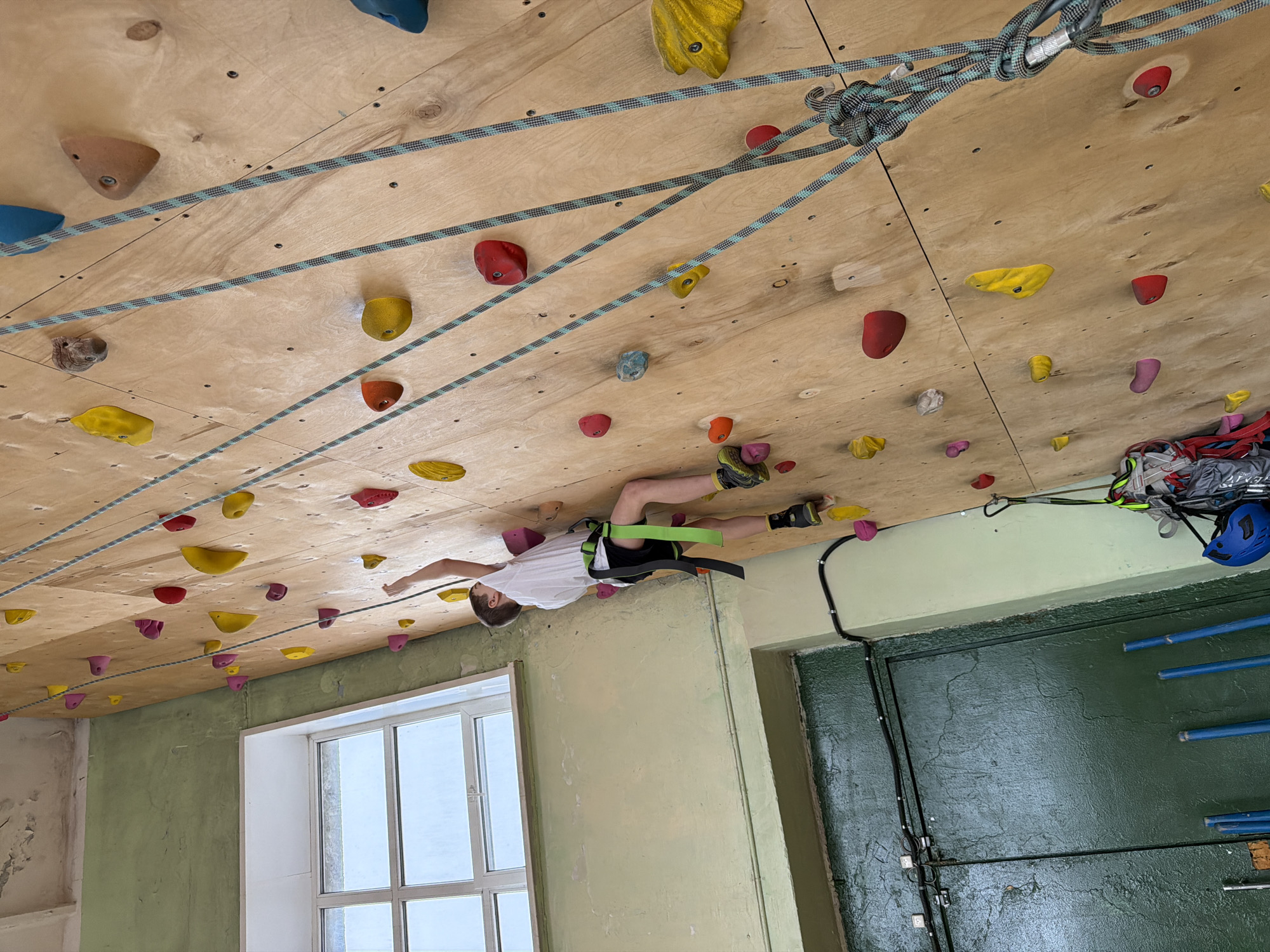A color photograph depicts a young person indoor climbing in a facility with a climbing wall.
The climbing wall, made of plywood and attached with various colored climbing holds, is on the ceiling. A climbing rope is secured at one end of the climbing wall. The climber is suspended upside down, using climbing shoes and a harness.
The lower part of the scene includes an interior wall painted with green and light-yellow, with a window on one side and a door on the other. The area is near Izhevsk, Russia.