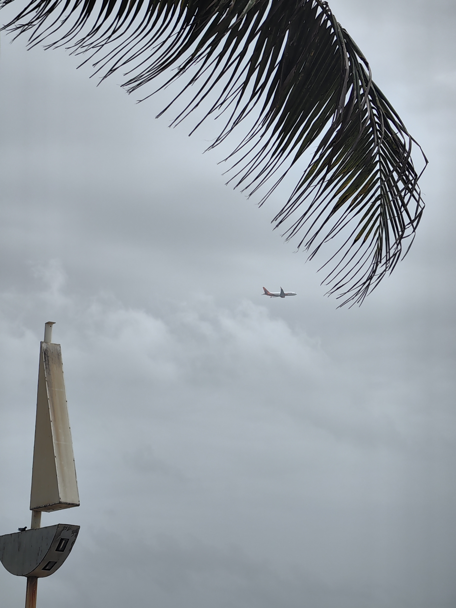 The image depicts a cloudy sky with a palm frond in the upper left corner. A distant airplane is visible in the sky. In the lower left quadrant, a weathered, sail-like structure stands vertically, with a semi-circular metal component at its base. A small bird is perched on this metal component. The scene appears to be outdoors, possibly near a coast, given the presence of the palm frond. The overcast sky suggests a humid or possibly rainy day. The structure in the foreground is a street sign or marker, likely in a public area. No people are visible in the image.