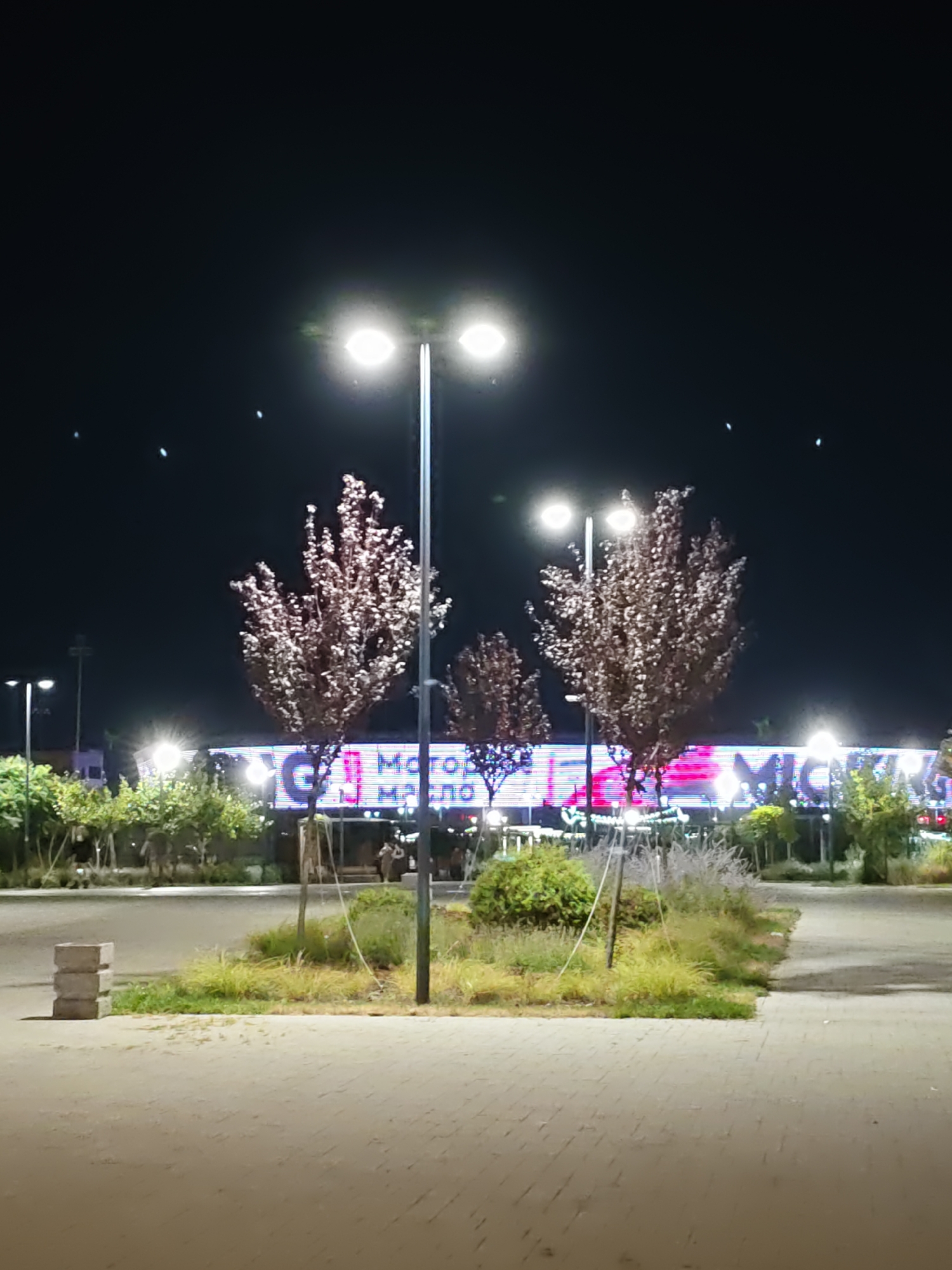 This image depicts an outdoor scene at night, likely in a public space like a shopping center or entertainment complex. Dominating the foreground is a paved pathway illuminated by streetlights. In the mid-ground, several trees with reddish-brown foliage are visible, their leaves catching the light. Behind the trees, a large, brightly lit sign or building facade with colorful LED lights is present. The sign appears to have text in a language other than English, possibly Cyrillic script. The overall atmosphere suggests a commercial or recreational area after dark.
The specific location within Rostov-on-Don, Russia, is likely an entertainment or shopping complex, potentially with a large outdoor area. The presence of trees, modern lighting, and the large illuminated facade points towards such a venue. The image does not contain any individuals performing specific actions or interacting with each other, but there are a few blurry figures visible in the background near the illuminated structure, suggesting a public place with some activity. The scene is characterized by artificial lighting against a dark night sky, with several bright light sources from the streetlights and the building sign.