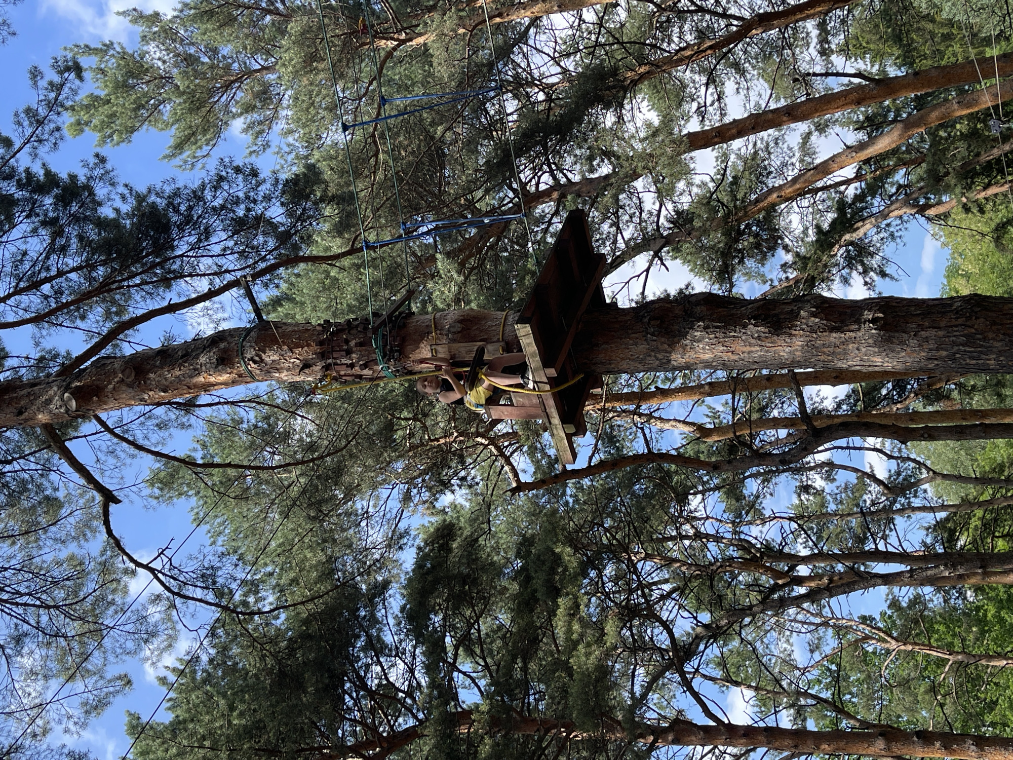 A young girl is on a wooden platform attached to a tall pine tree, participating in a ropes course in Kislovodsk, Russia. She is wearing a yellow harness and is holding onto a rope. The platform is elevated approximately 20-30 feet above the ground, surrounded by other pine trees and a blue sky with scattered clouds. Safety cables and netting are visible, suggesting an adventure park or recreational area. The girl appears to be in the process of navigating the course.
