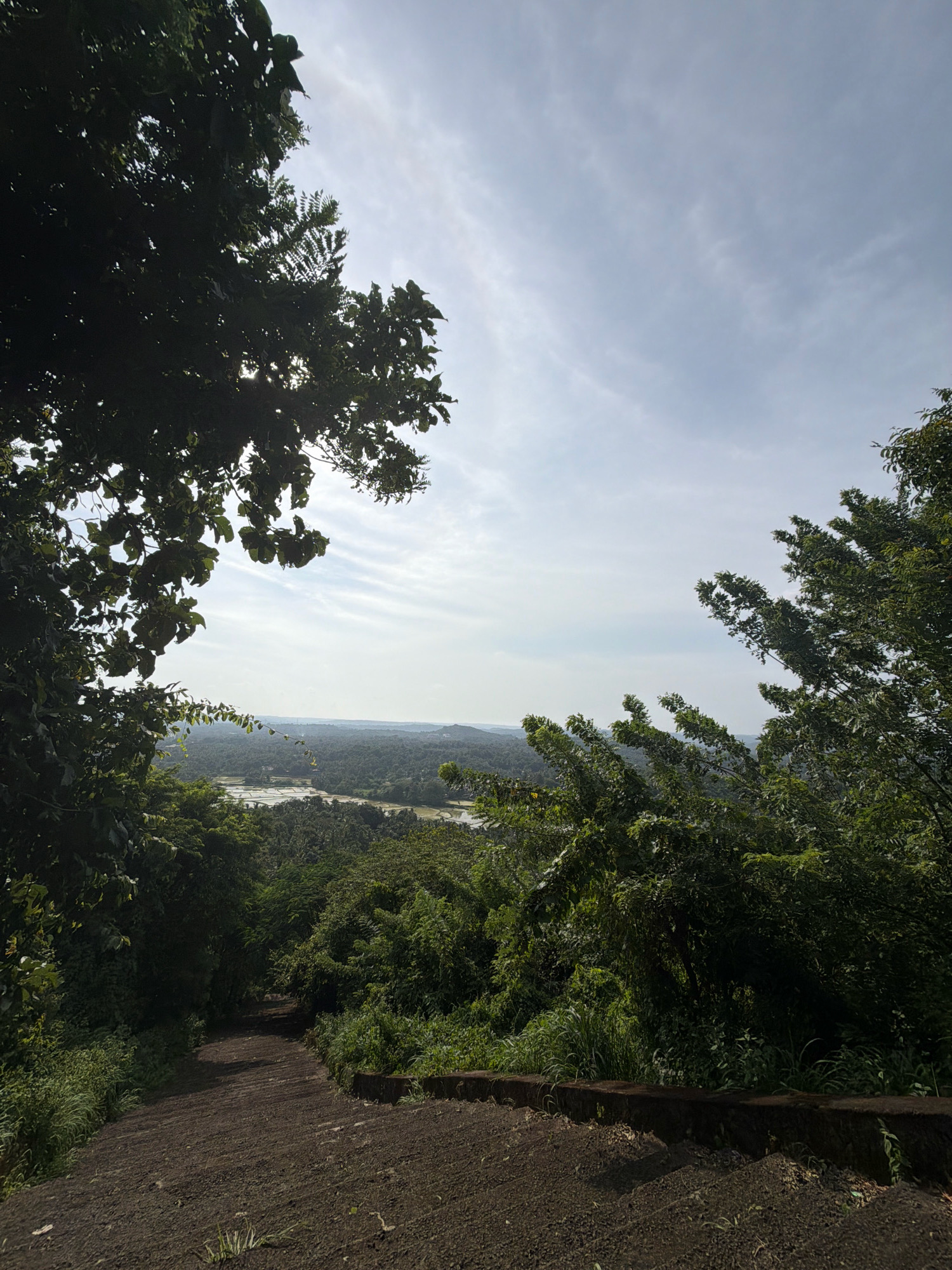 The image shows a downward sloping view of a dirt path with stone steps, leading towards a lush green landscape of trees and fields under a hazy sky. The path is bordered by dense foliage on either side. In the distance, a body of water, possibly a river or lake, is visible, reflecting the light. The scene appears to be in a rural or natural setting, likely in Koorkaparamba, India, given the vegetation and terrain. There are no people or animals present in the image. The sky is partly cloudy with thin, wispy clouds. The overall impression is one of a serene, natural environment.