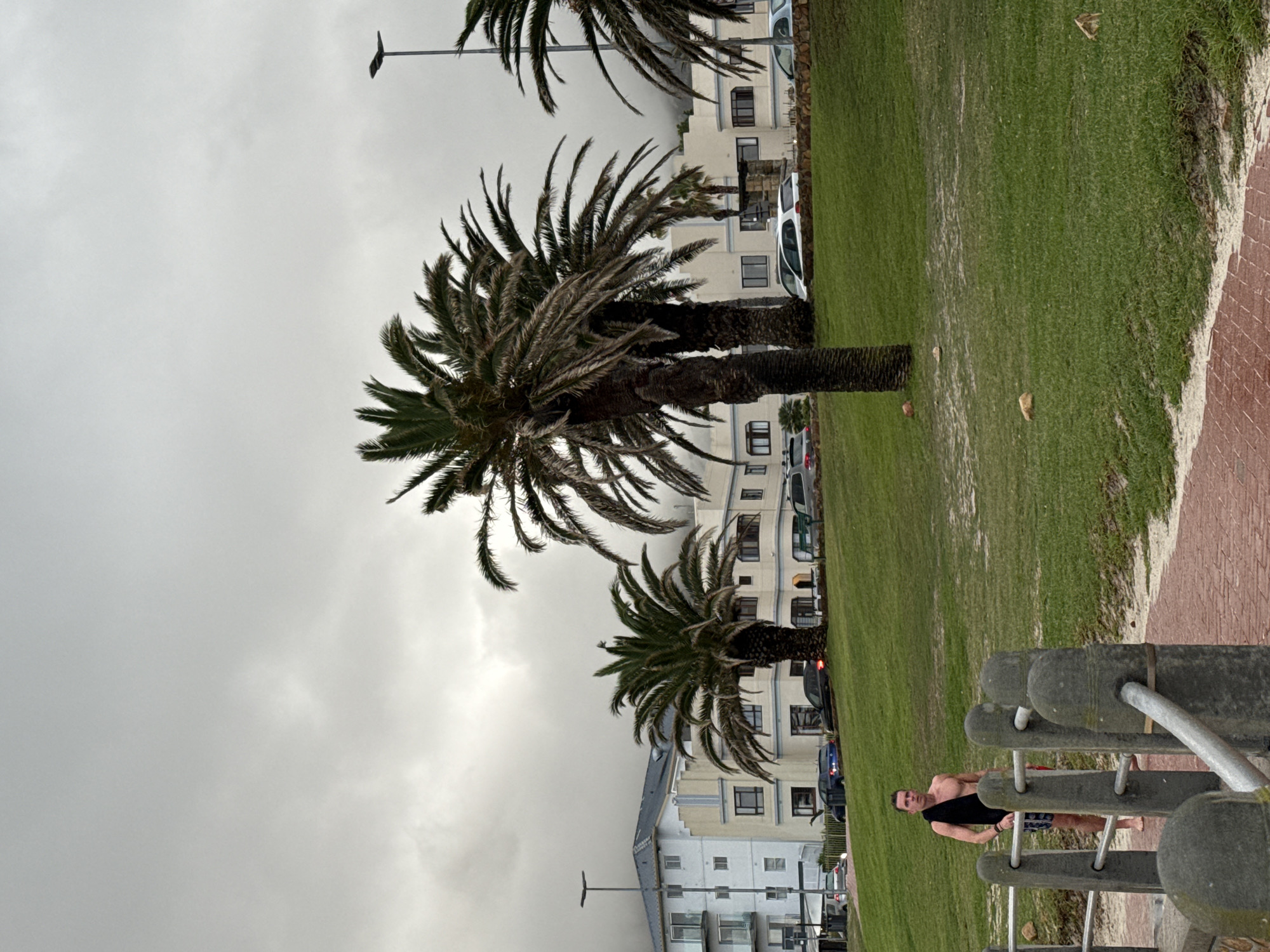 The image depicts a cloudy day in Cape Town, South Africa. Three palm trees of varying sizes are positioned on a grassy strip adjacent to a residential area with apartment buildings and parked cars. A person in dark swim attire, visible from the waist up, leans against a weathered concrete structure resembling a bench or public art piece. A brick pathway borders the grass on one side.