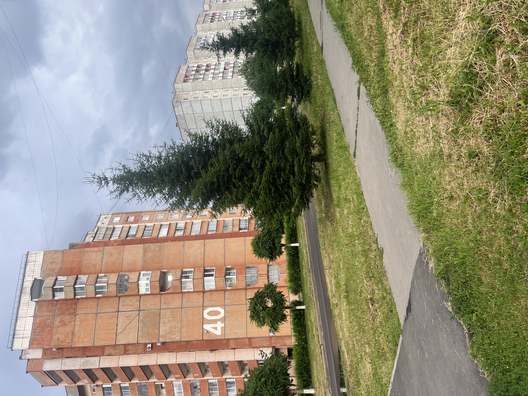 The image depicts a street scene in Zheleznogorsk, Russia. In the foreground, a paved walkway runs alongside a strip of grass. Beyond the grass, there are several tall apartment buildings. The building closest to the foreground is clad in orange brick and has a large white number "40" prominently displayed on its facade. Other buildings in the background are lighter in color and appear to be made of concrete and glass. Evergreen trees and some smaller bushes are planted along the side of the walkway and between the buildings, suggesting a residential area with some landscaping. The sky is overcast, indicating a cloudy day. The lighting suggests it is daytime, likely midday or afternoon. No people are visible in the image, and there are no specific activities or events taking place. The overall impression is one of a typical urban residential environment under a gray sky.