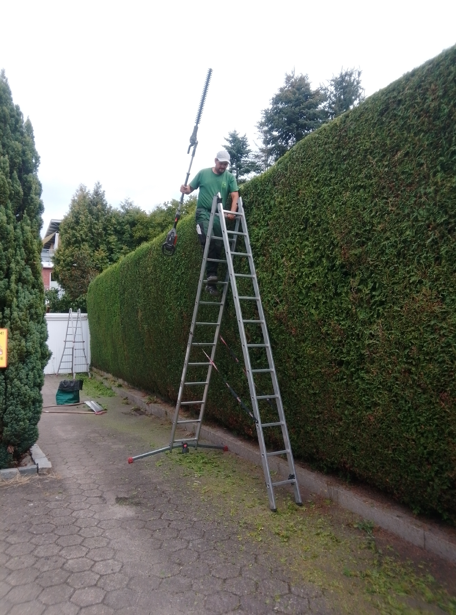 A man is trimming a tall, dense green hedge with a long-handled hedge trimmer. He is standing on a tall, silver A-frame ladder, which is set up at an angle against the hedge. The man is wearing a green t-shirt, green work pants, and a white cap. He is holding the hedge trimmer with both hands, its blades extended upwards. The hedge extends the length of the image and appears to be a very well-maintained privacy hedge. In the foreground, there is a grey paved walkway with hexagonal tiles, and scattered cut grass. To the left of the walkway, there is a very tall, dark green evergreen tree. Behind the hedge, a white fence is visible, and beyond that, houses and trees. To the left, a second, shorter ladder is leaning against a lower section of the hedge, and a green collection bag and garden tools are on the ground. The sky is overcast. This scene is likely taking place in a residential area of Wedel, Germany, given the presence of a well-kept garden hedge, houses, and the overall suburban aesthetic.
