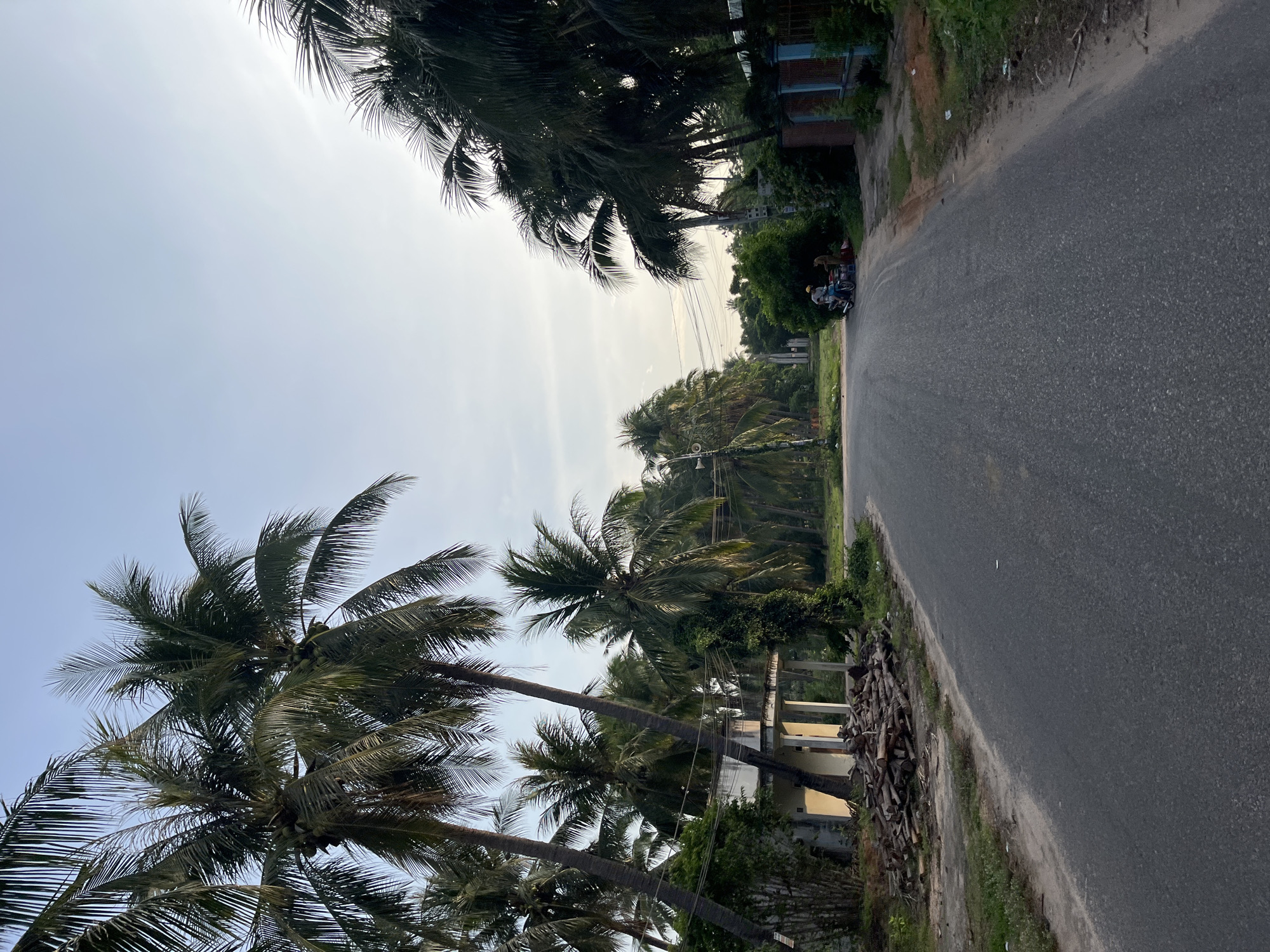 The image depicts a road lined with coconut palm trees in Mũi Né, Vietnam. On the left side of the road, a simple structure with pillars and a covered entryway is visible, with a pile of cut logs in front. Further down the road on the right, two people are interacting near a parked motorbike. The sky is overcast, suggesting it is either early morning or late afternoon. The overall scene conveys a rural or semi-rural atmosphere typical of coastal towns in Vietnam.