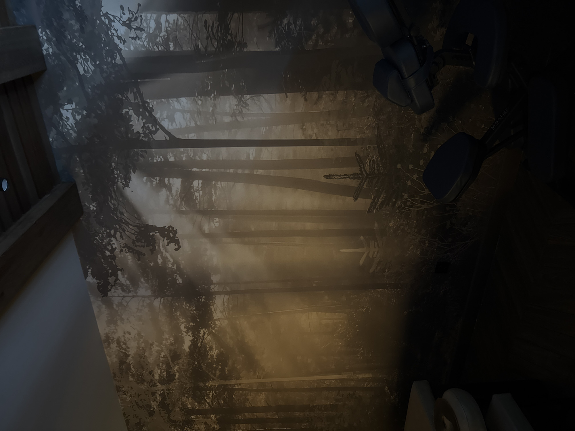 The image depicts a dimly lit interior. A wall mural displaying a forest scene with sunlight streaming through trees dominates the space. To the right, the top portion of a blue chair with what looks like a foot rest is visible. An additional chair can be seen near the bottom of the image as well. The image does not include sufficient detail to identify Izhevsk, Russia or specify the exact location within the city.