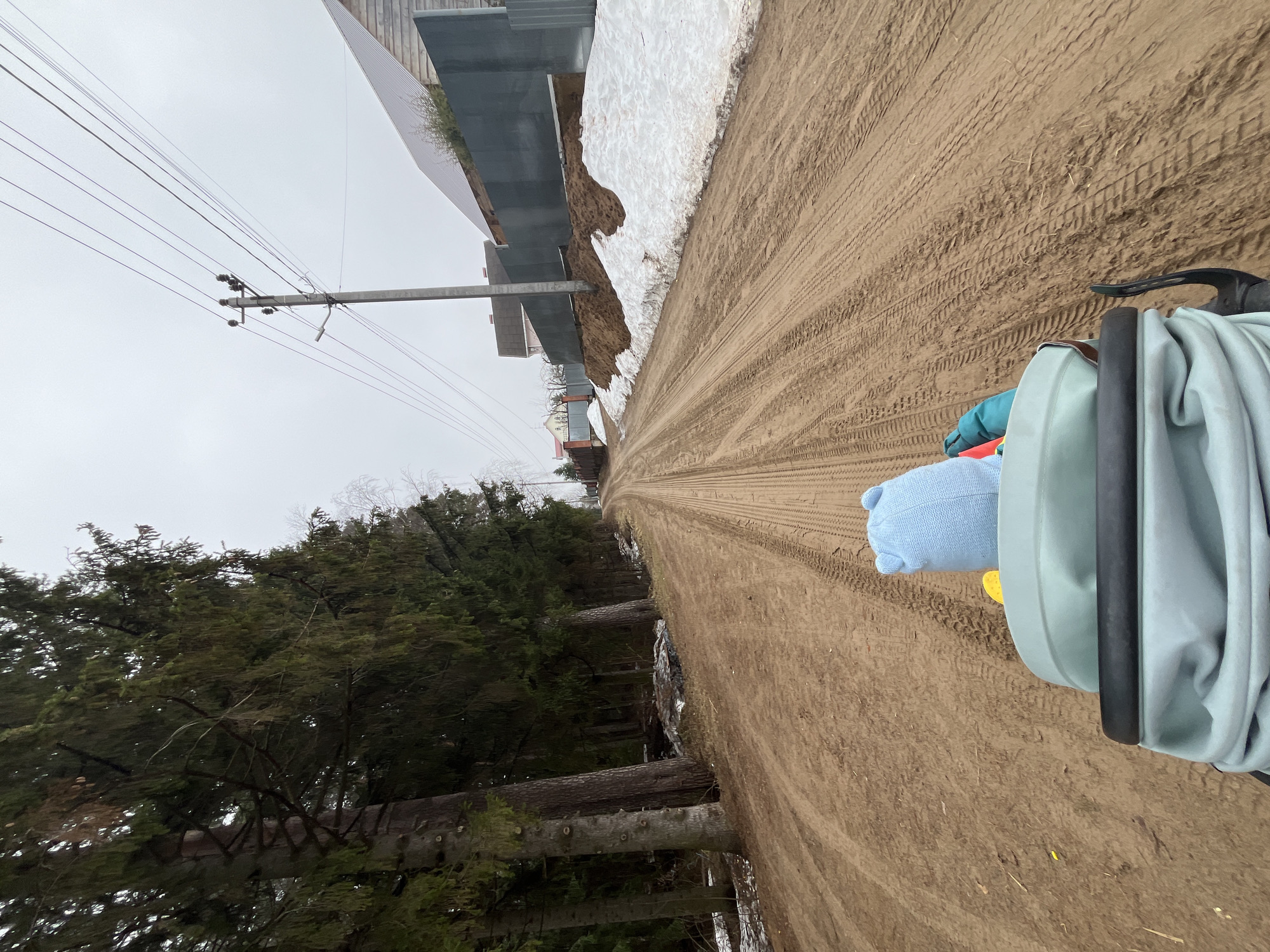 The image shows a dirt road in what appears to be a semi-rural area. The road is marked with tire tracks and has patches of snow along the sides. On the left side of the road are trees and a power line. On the right side are buildings with metal siding. In the foreground is a stroller carrying what appears to be a blue stuffed animal and a light-colored blanket. The sky is overcast. The location is Chaikovsky, Russia.
