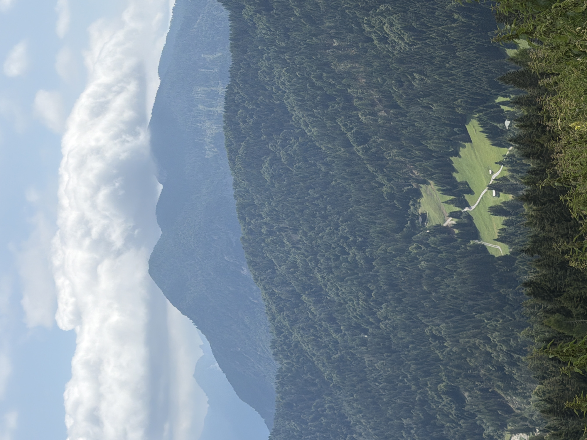 This is a high-angle, wide shot of a dense, verdant forest covering rolling hills, with layers of mountains receding into the hazy distance. In the foreground, the trees are dark green and appear to be coniferous, with some lighter green foliage interspersed. A winding road cuts through a bright green meadow nestled within the forest, with two small buildings visible near the road. The sky above is a pale blue with scattered white, fluffy clouds, some of which are obscuring the peaks of the furthest mountains. The overall impression is one of a serene, natural landscape. This location is likely in or near Raveo/Raviei, Italy, given the mountainous terrain and dense forests characteristic of the region.