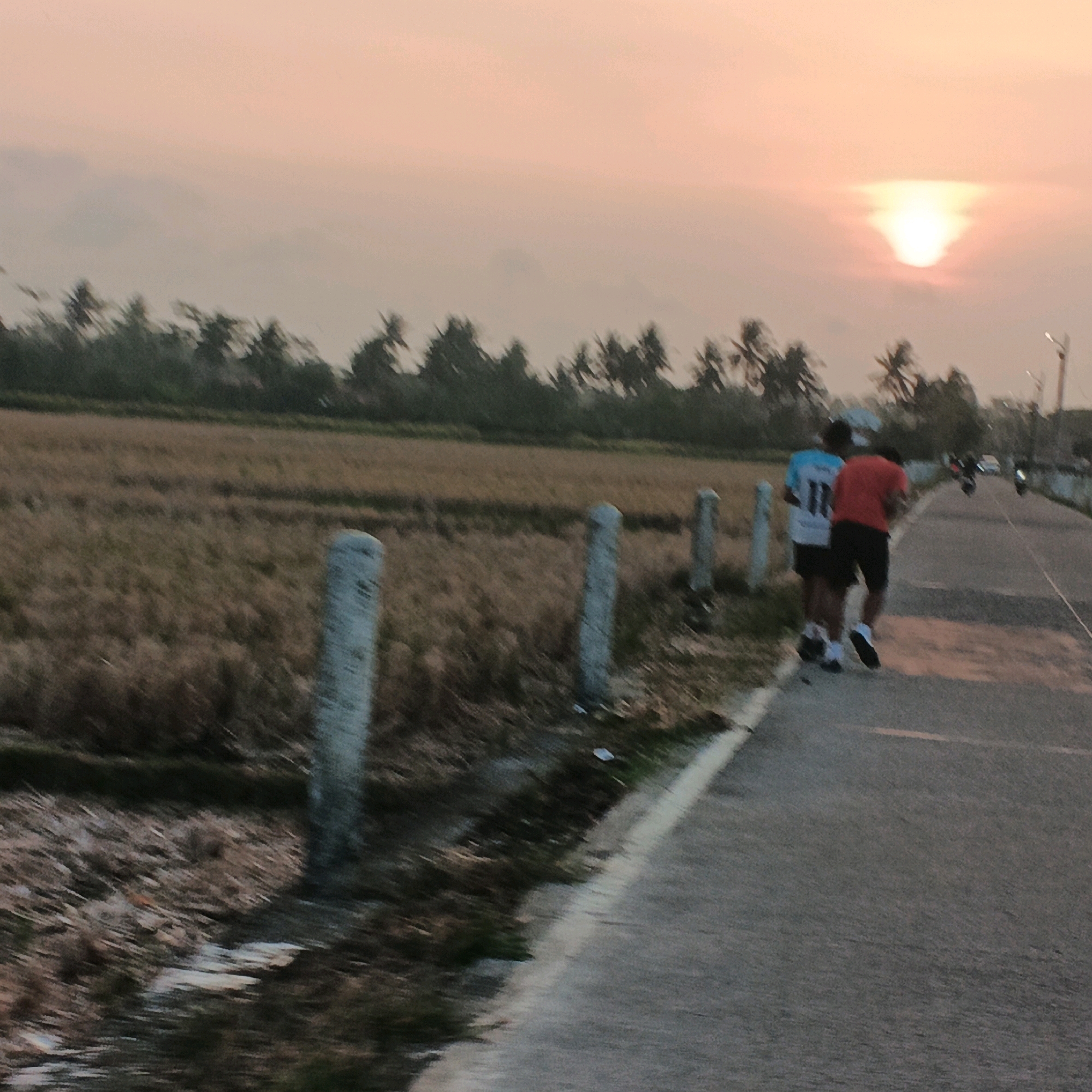 At dusk in Kalikudi, Indonesia, two individuals are captured in motion on a paved road, the warm glow of the setting sun painting the sky in hues of orange and yellow. The individual on the left wears a light blue t-shirt with a black number "11" on it, paired with dark shorts. The person on the right is dressed in a red t-shirt and dark shorts. Both appear to be jogging or walking briskly. The road is lined on the left by a grassy area and several concrete posts, marking what might be the edge of a field or farmland. In the background, palm trees and other vegetation form a dense line against the horizon. The overall atmosphere suggests a peaceful, rural setting as the day concludes, with the faint silhouette of buildings and a lamppost visible further down the road, indicating the presence of a small settlement or town.