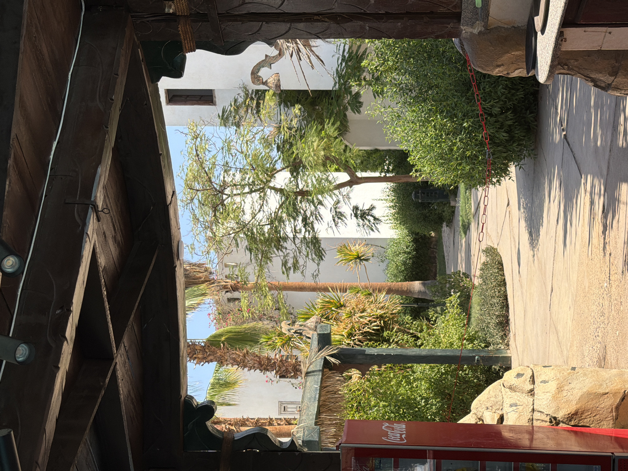 This image depicts an outdoor pathway framed by wooden structures, leading into a courtyard with white buildings and lush vegetation. The pathway is paved with light-colored concrete slabs, with some areas showing sand. On the left, a red Coca-Cola vending machine is partially visible, adjacent to a large, rough-hewn rock. A wooden beam with what appears to be a straw-like covering stretches across the foreground.
Beyond the immediate foreground, the pathway curves to the right. A red chain barrier is suspended across the path, indicating a possible boundary or access control. Numerous green bushes and trees with fine, feathery leaves line the pathway and courtyard. Several palm trees, including one with a notably textured trunk, are interspersed among the greenery.
The buildings in the background are painted white and feature dark-toned windows. One building has an architectural detail with a curved wooden element and a woven basket hanging from it. The sky is clear and blue, suggesting a sunny day. The overall impression is of a resort or outdoor dining area, likely in a warm climate.
Given the architectural style, the presence of palm trees, and the clear blue sky, this scene is characteristic of resort areas in Sharm El Sheikh, Egypt, known for its sunny weather and arid landscape.