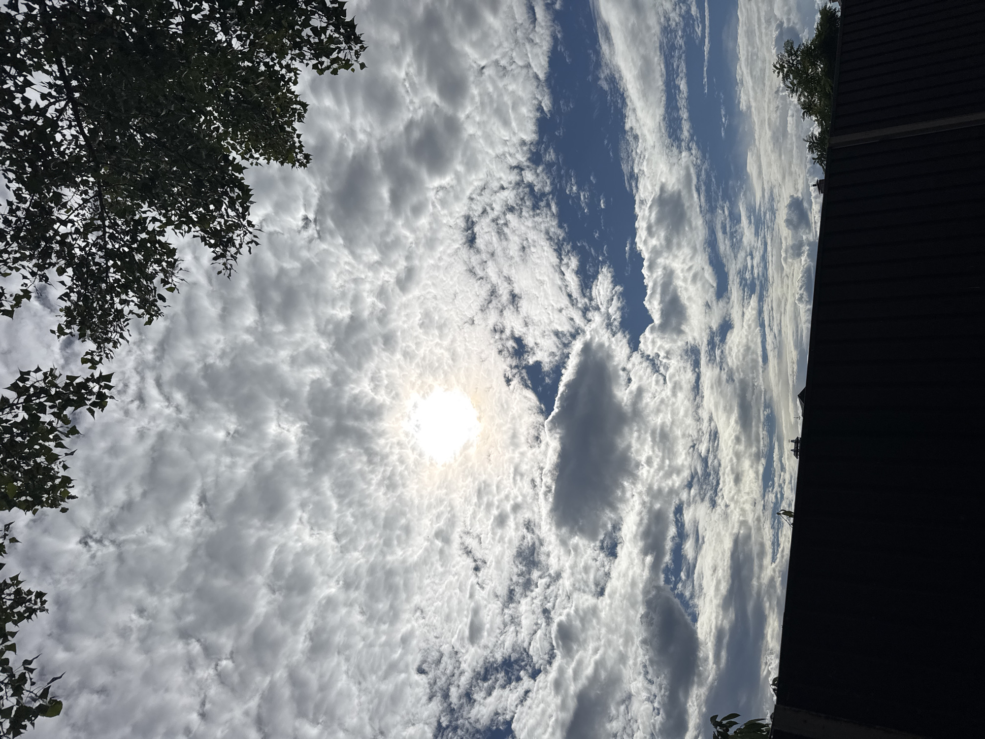 The image shows a view of the sky from a low vantage point, with a dark fence in the foreground. The sky is filled with a mix of white and grey clouds, with patches of blue visible. The sun is visible in the upper center of the image, partially obscured by clouds, casting a bright glow. Tree branches with green leaves frame the top of the image. A silhouette of a person can be seen standing on top of the fence in the middle right, holding a long object, possibly a broom or rake. The fence appears to be made of dark, corrugated material, with some lighter colored vertical supports visible. The overall scene suggests an outdoor environment, possibly a backyard or garden, under a cloudy sky.