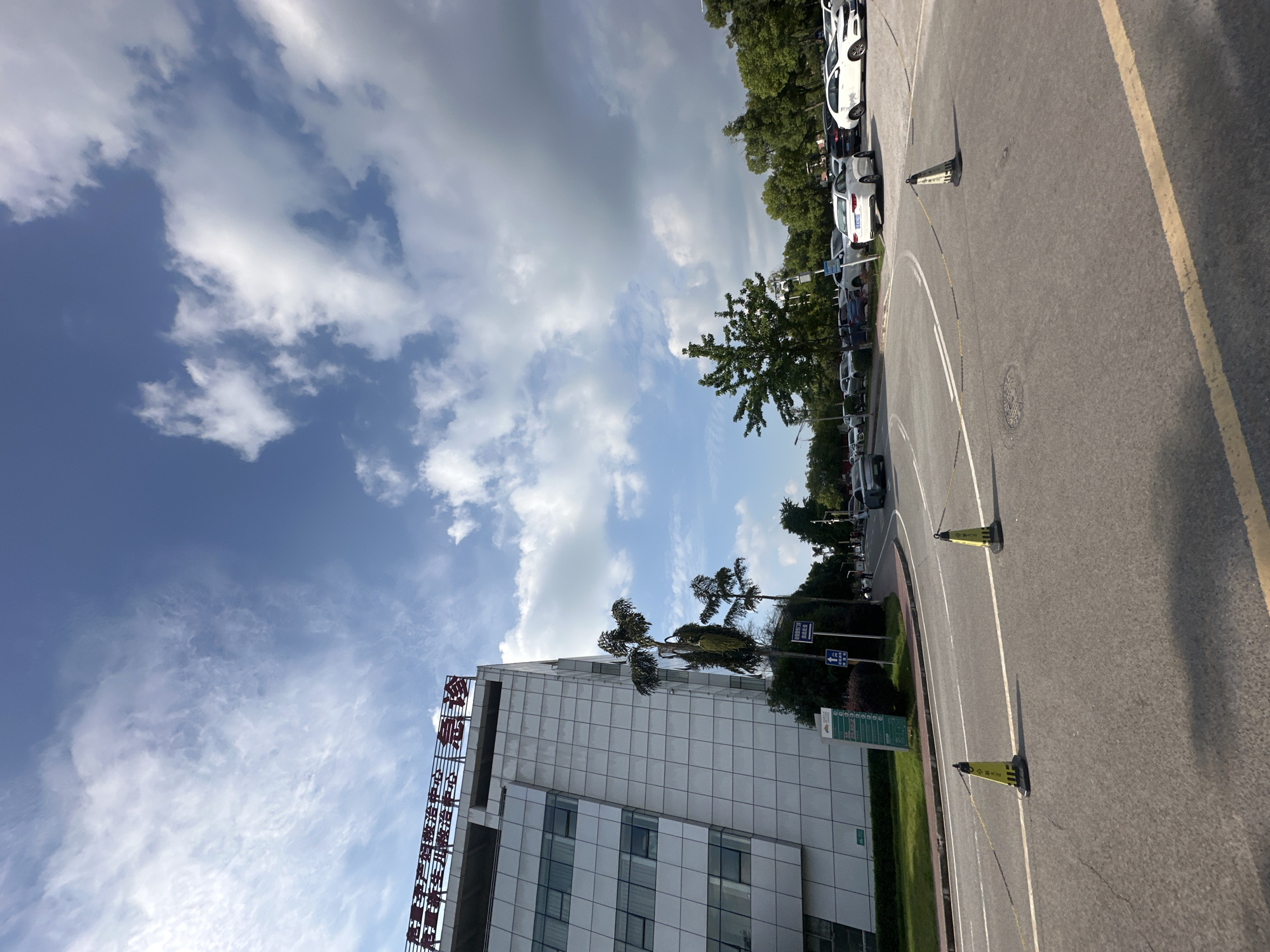 This image captures a scene in the city of Chongqing High-tech Zone, China, featuring a modern white building with a prominent red Chinese sign on its rooftop, likely indicating a hospital or clinic. The building is flanked by palm trees and surrounded by a parking lot filled with various cars, predominantly white sedans. A paved road curves through the foreground, marked with white lines and several yellow safety cones. In the background, a line of green trees forms a natural border, with a bright blue sky dotted with fluffy white clouds overhead. The overall impression is of an institutional setting within a well-maintained urban environment.