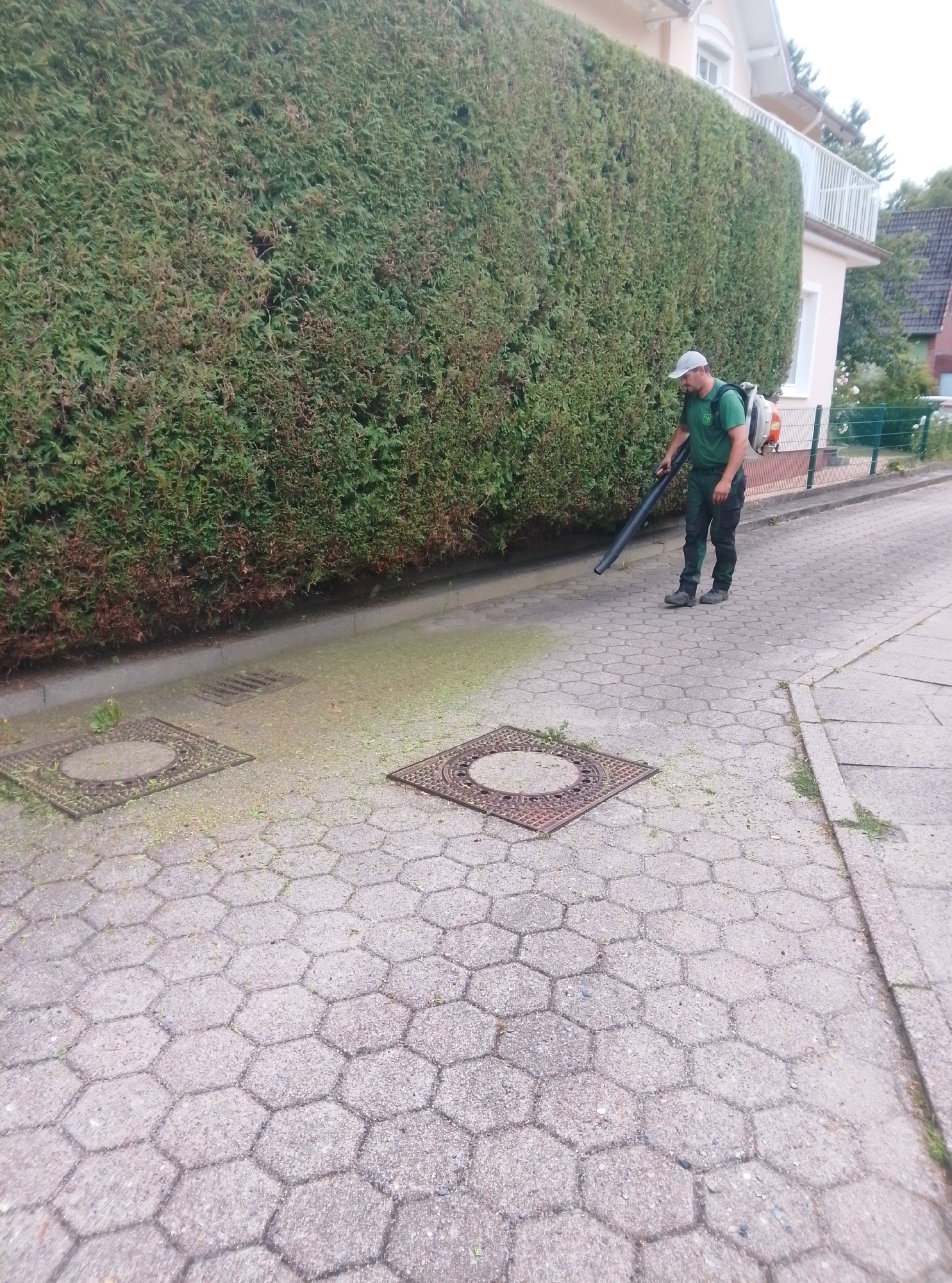 In Wedel, Germany, a person wearing a green shirt, dark pants, and a white baseball cap operates a leaf blower. The individual is standing on a paved walkway lined with hexagonal paving stones. To the left, a tall, dense green hedge runs along the walkway, with a building visible beyond it. The walkway is scattered with debris, likely clippings from the hedge, and features two square metal grates. The scene suggests outdoor maintenance work.
