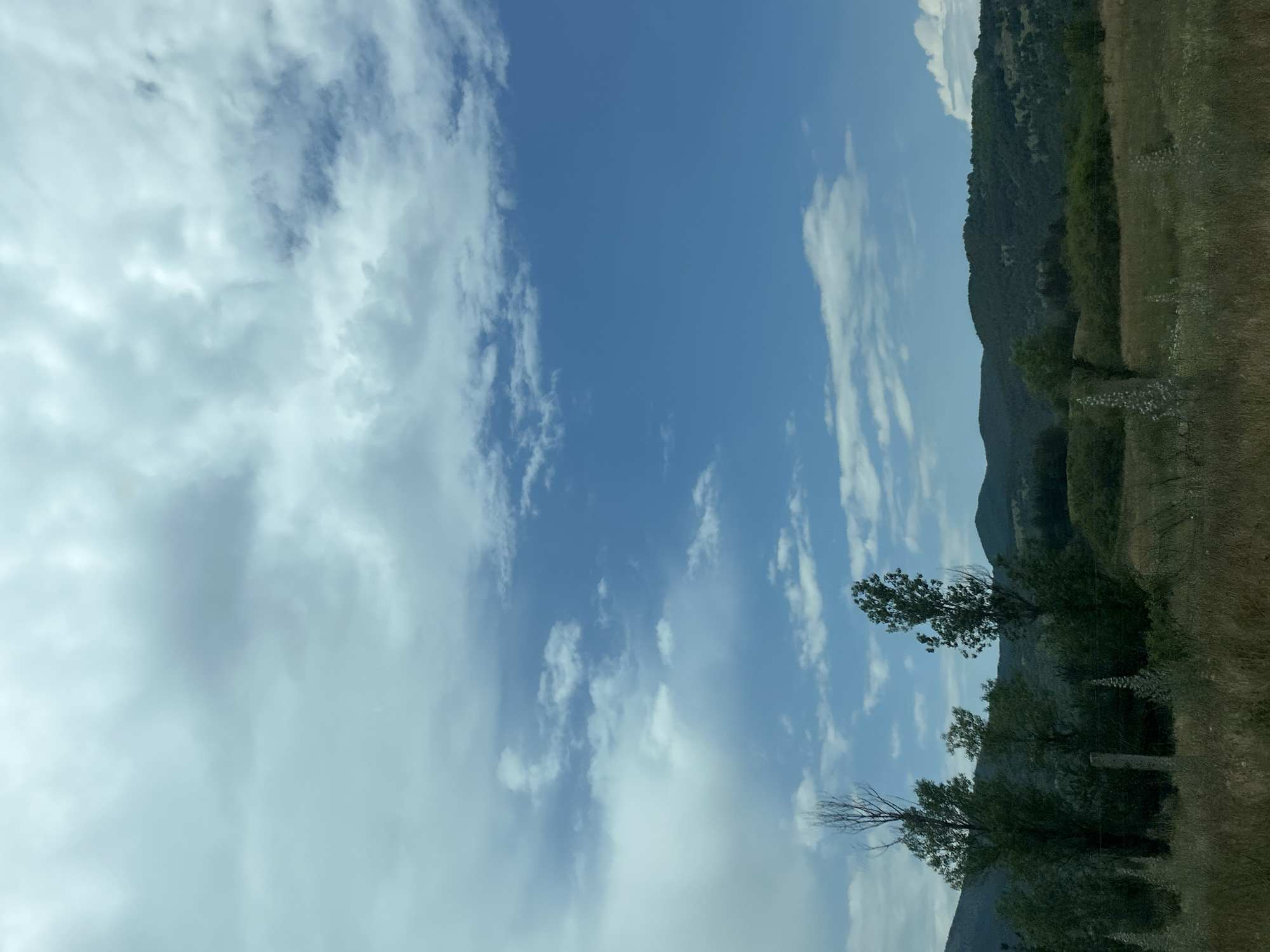 This is a daytime landscape photograph taken in Dolno Varshilo, Bulgaria, depicting a rural outdoor scene. The upper two-thirds of the image feature a sky with varied cloud cover; the left side is dominated by large, light gray cumulus clouds, transitioning to a clear, bright blue sky with scattered smaller white clouds on the right. A range of verdant, densely forested hills or low mountains forms the distant horizon across the middle ground. The foreground comprises an uncultivated field of tall, dry, golden-brown grasses and scattered lighter-colored wildflowers or seed stalks. Several trees are prominent in the mid-ground: on the left, a tall, bare deciduous tree stands alongside a healthy, leafy tree, while another tall, slender deciduous tree with green foliage is positioned towards the center-right. A single, weathered fence post, possibly concrete, is partially visible in the lower-left quadrant amidst the foreground vegetation. No individuals or animals are present in the frame.