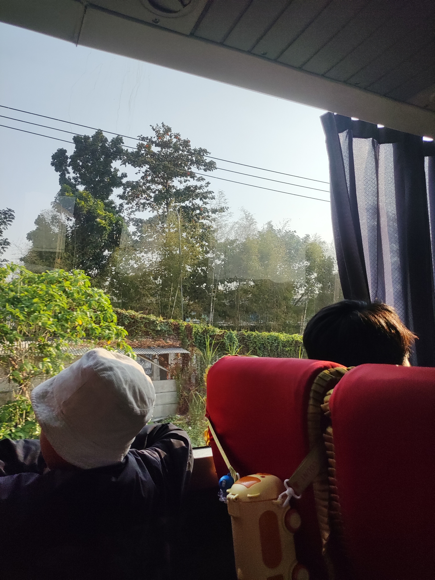 The image depicts two individuals seated inside a vehicle, likely a bus, looking out the window at a verdant, outdoor scene. The person in the foreground, on the left, is wearing a light-colored hat and a dark jacket, facing away from the camera and towards the window. The second individual, on the right, is partially visible from behind, with dark hair, also facing the window. Red seats of the vehicle are prominent in the foreground. Outside the window, lush green trees, bamboo stalks, and foliage are visible under a clear, bright sky. Some power lines are also visible against the sky. The overall impression is of travel through a rural or semi-rural area, possibly on the outskirts of a city like Karawang, Indonesia, where natural landscapes are interspersed with infrastructure.