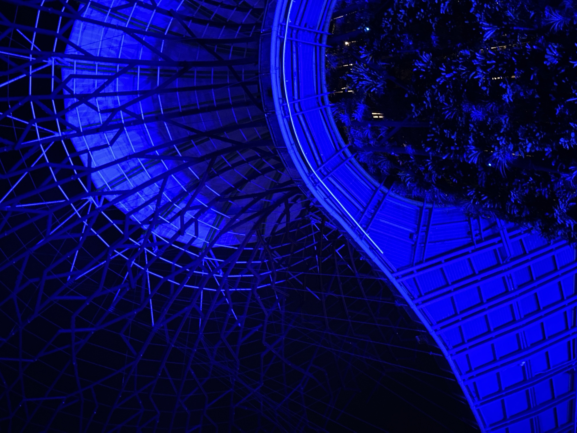 The image captures a low-angle view of the Supertree Grove at Gardens by the Bay in Singapore, illuminated by vibrant blue lights. The structure features a complex lattice of metal beams, forming an intricate canopy overhead. A curved walkway, also bathed in blue light, is visible in the mid-ground, with lush, dark foliage of tropical plants below. The overall impression is one of a futuristic, glowing botanical garden at night.