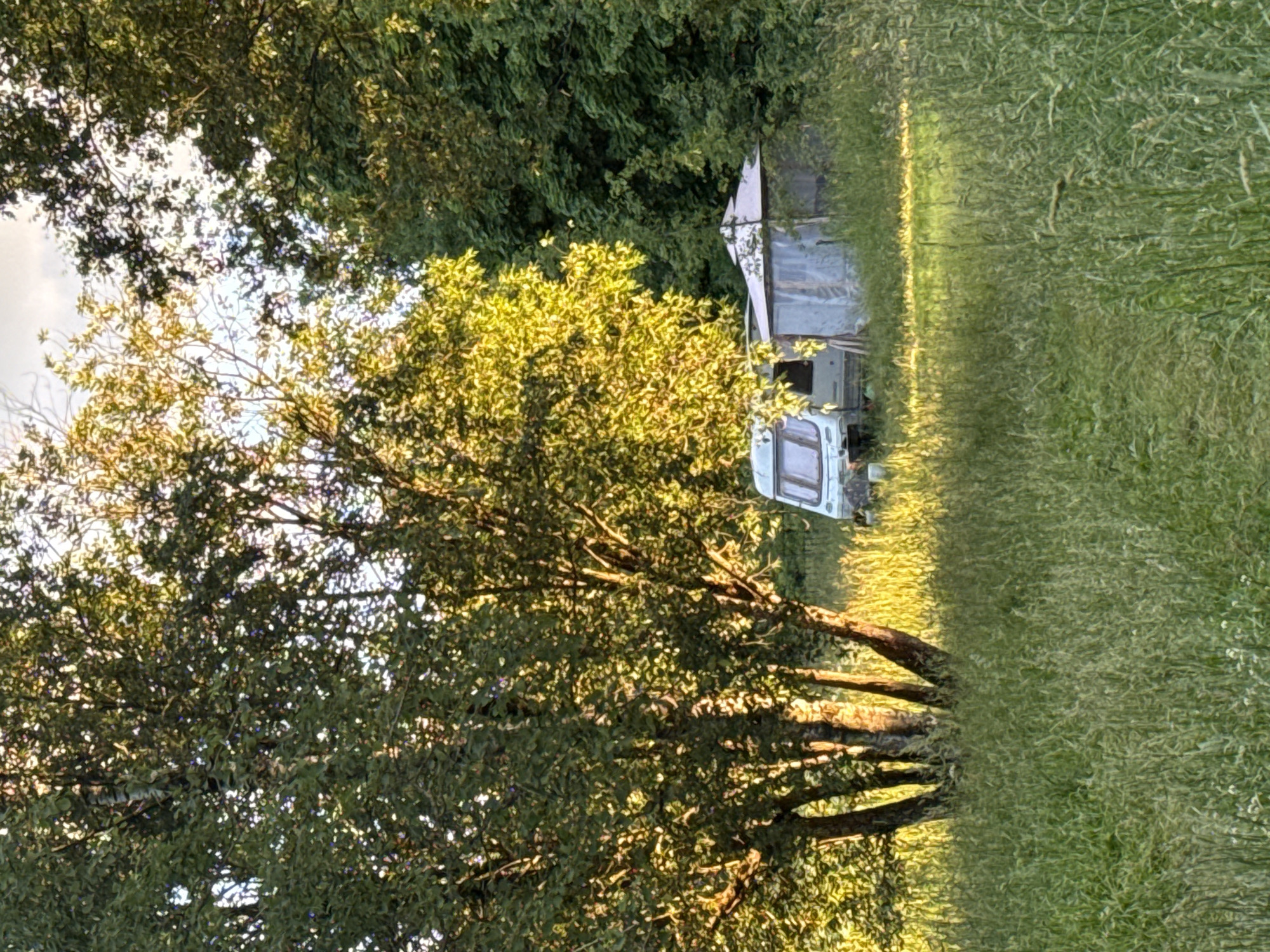 An outdoor scene in Voeikovo, Russia, shows a light green camper van and a light-colored gazebo situated in a grassy field with trees in the background. The sun is low in the sky, casting long shadows and illuminating the leaves of the trees with a golden light. The grass is tall and appears overgrown, with some wildflowers visible. The camper van has several windows and appears to be parked. The gazebo has a peaked roof and is partially enclosed with translucent material. The overall impression is one of a peaceful, rural setting during a summer evening.