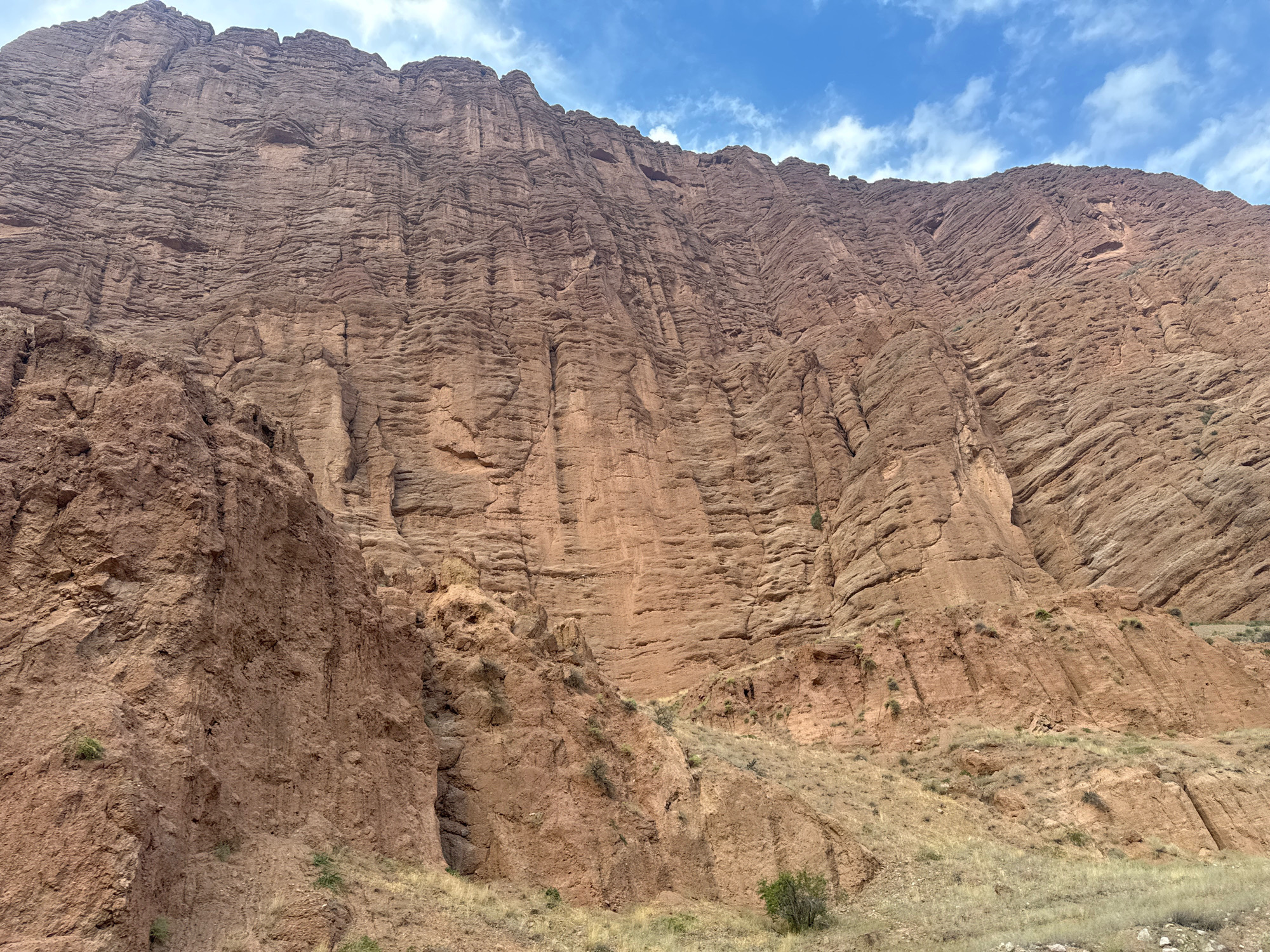 This image captures a vast, towering cliff face in the vicinity of Кызыл-Коргон, Kyrgyzstan. The cliff is composed of layered, reddish-brown rock, exhibiting significant erosion with numerous horizontal striations and deep crevices. The rock face is immense, filling most of the frame and rising towards a partly cloudy blue sky. The lower portion of the scene transitions into a drier, arid landscape with sparse, dry grasses and a few small, scrubby bushes. The overall impression is one of rugged, natural grandeur and geological time. There are no people, animals, or man-made objects visible in the image.