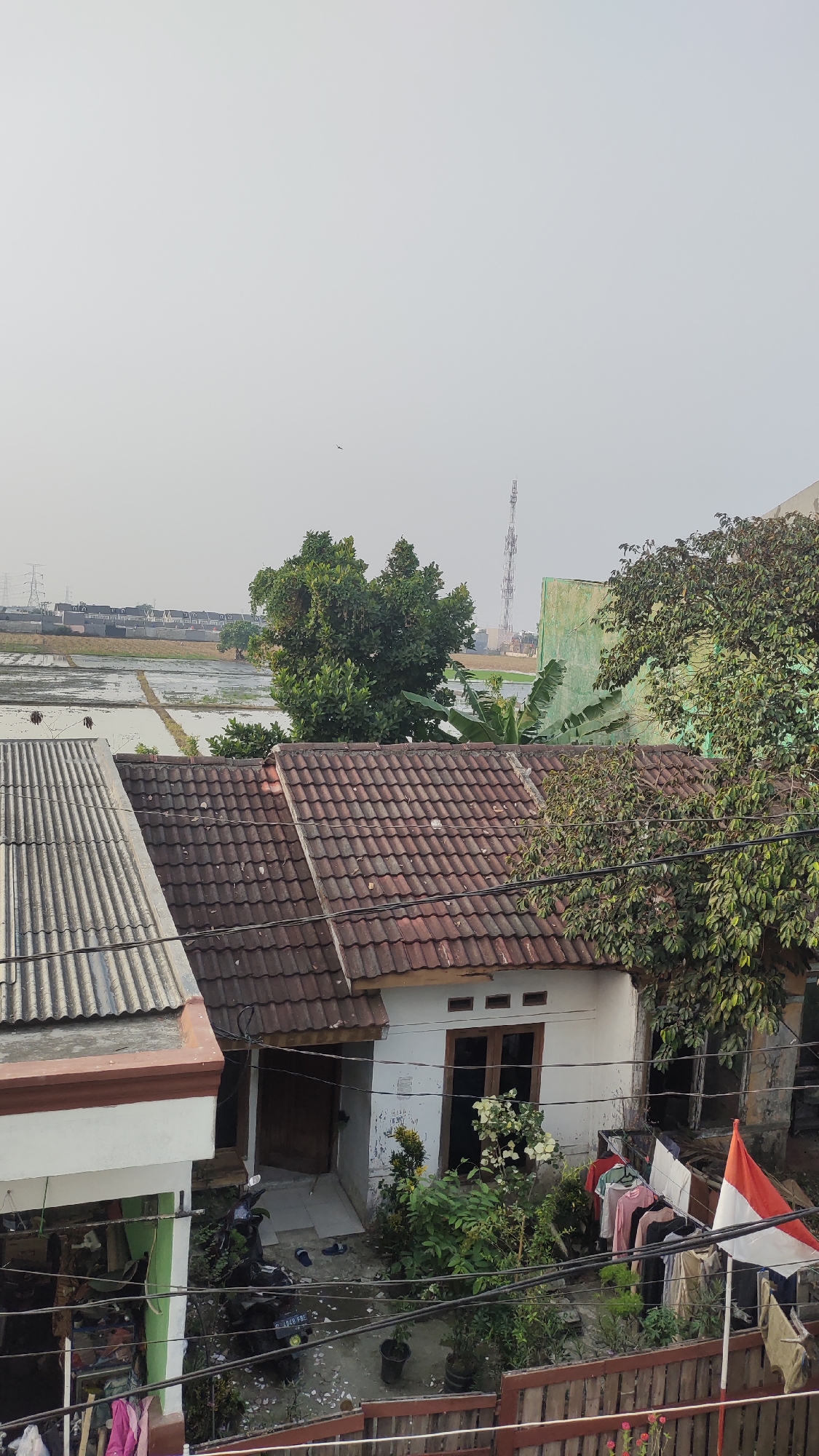 The image depicts a view of Jalenjaya, Indonesia, characterized by a residential area adjacent to agricultural land. In the foreground, a white house with a red tiled roof is visible, featuring a wooden door and a window. Outside the house, several potted plants and a small white flowering bush are present. A motorcycle is parked on the ground. Laundry hangs on a clothesline in front of the house, alongside a small Indonesian flag. To the left, a portion of another building with a corrugated metal roof is visible. In the background, a large expanse of flooded rice paddies stretches towards a distant row of houses and transmission towers. The sky is overcast, and a bird is in flight. The scene suggests a typical day in a semi-urban, agricultural community.