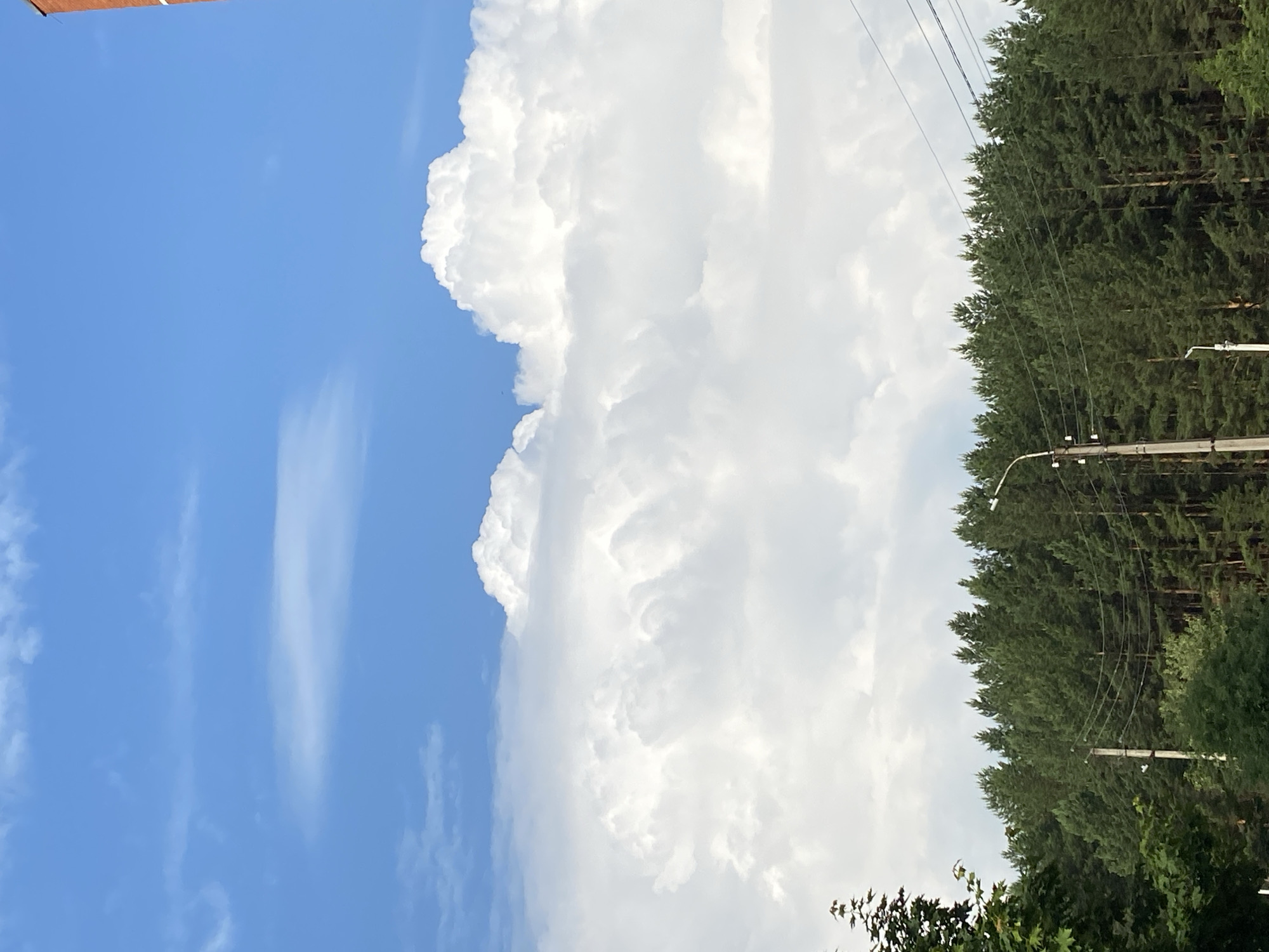 The image shows a forest of coniferous trees against a bright blue sky with dramatic cumulus clouds. In the foreground, on the left, there are dark green leaves of a deciduous tree. A utility pole with wires runs across the middle ground, with another pole partially visible on the right. The scene appears to be in an outdoor, natural environment, likely on the outskirts of Chaikovsky, Russia, given the dense forestation typical of the region. There are no people or animals visible in the image. The overall impression is of a summer day with partly cloudy skies.