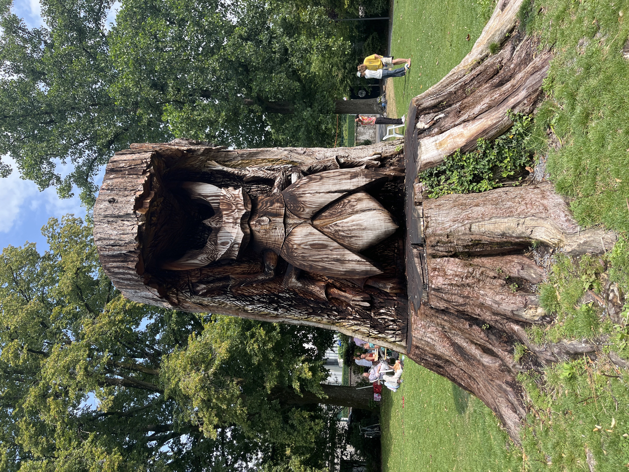 An outdoor, ground-level, full shot captures a large, intricately carved wooden tree stump in a park setting. The stump is carved to resemble a creature with a large, segmented head and wing-like structures. Its rough, textured bark is visible at the base, with exposed roots spreading outwards. The carving is detailed, showing various textures and shapes.
In the background, several large, mature green trees with full canopies dominate the scene, indicating a lush, natural environment. Sunlight filters through the leaves, creating dappled light on the grassy ground.
To the left, a group of people are gathered on the grass. One person sits on a blanket with a picnic spread out, while others are seated around a low table. Two bicycles are parked nearby.
To the right, three individuals stand on the lawn. One person, wearing a patterned shirt and dark pants, stands facing away from the camera. Two others, a woman in a yellow shirt and shorts and a person in a white shirt and jeans, are facing the carved stump. A white plastic chair is positioned near the stump.
The environment appears to be a public park in La Tour-de-Peilz, Switzerland, with a clear blue sky visible through the trees. The overall impression is one of a public gathering in a park, with a prominent artistic installation as the central focus.