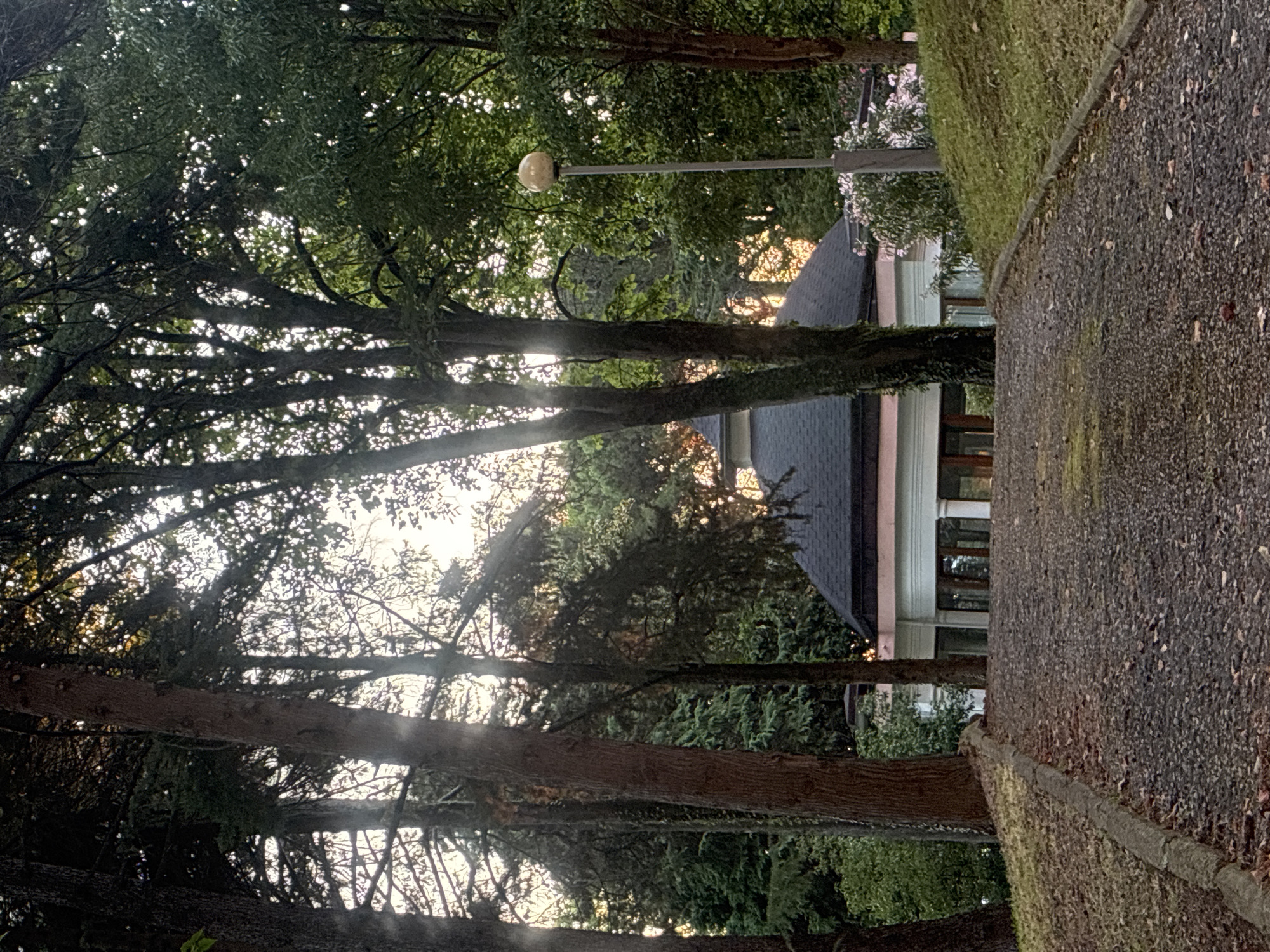The image shows a gravel path leading towards a building with a dark, multi-faceted roof, surrounded by tall trees. The building has white pillars and a light pink band under the roof. A single lamppost with a spherical light fixture stands to the right of the path, behind a grassy incline. The trees are dense and cast shadows, with sunlight filtering through the leaves in some areas. The overall setting appears to be a park or garden. The image does not contain any people or animals, nor does it provide specific information to pinpoint its exact location within Sochi, Russia.