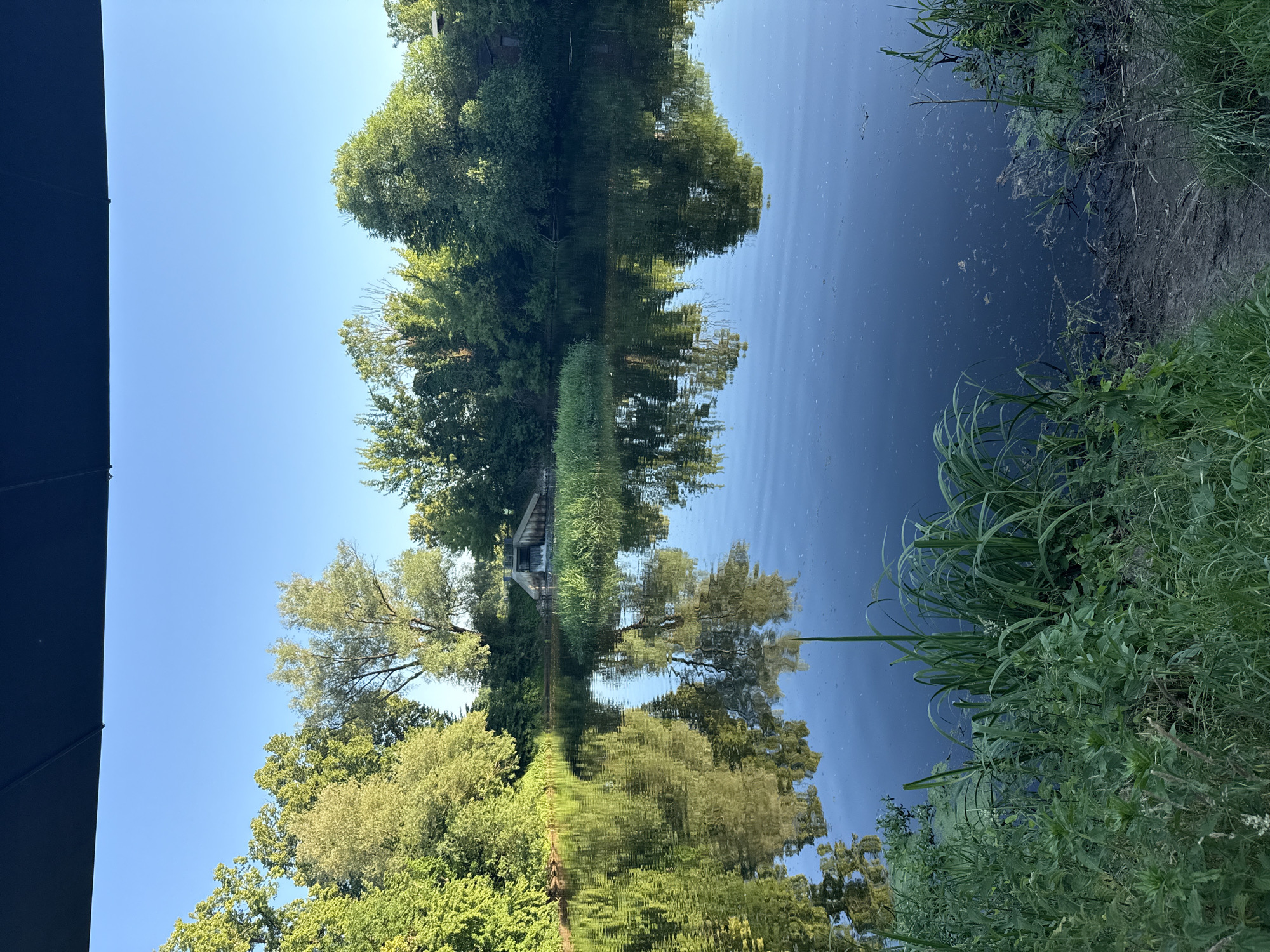 A body of water reflects the surrounding trees and a clear blue sky. On the far side of the water, a small dam with a spillway is visible, constructed of concrete and stone. Lush green foliage lines the banks of the water and extends into the foreground. The water's surface is calm, disturbed only by gentle ripples. The scene appears to be a naturalistic park or a well-maintained natural area.