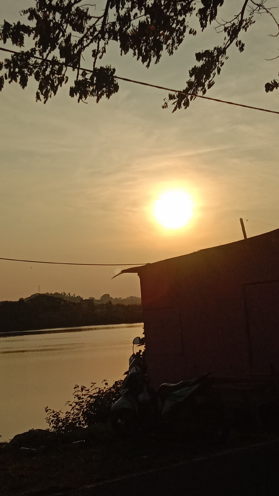 The image presents a serene landscape captured during sunrise or sunset, characterized by a warm, golden hue dominating the sky and water. A bright, intense sun is prominently positioned in the upper right, casting a strong glow through a hazy sky.
In the immediate foreground, dark, silhouetted tree branches with sparse foliage extend across the top of the frame. A thin, dark line, possibly a power cable, stretches horizontally across the mid-ground.
On the right side of the image, a simple, dark-silhouetted structure, resembling a small house or shack with a slightly sloped roof, stands at the edge of a calm body of water. Partially obscured by the structure and some foreground bushes, a scooter or motorcycle is visible, also in silhouette.
The calm water, likely a lake or a wide river, fills the lower left and central parts of the frame, reflecting the warm light. Across the water, a distant landmass or a range of hills covered with vegetation is visible, featuring what appears to be a small structure or tower on one of its peaks.
The scene conveys a peaceful atmosphere, emphasizing the natural beauty of the "golden hour." No people or explicit activities are visible, and there is no discernible text. The setting is an outdoor, natural environment in Lhokseumawe, Indonesia.
