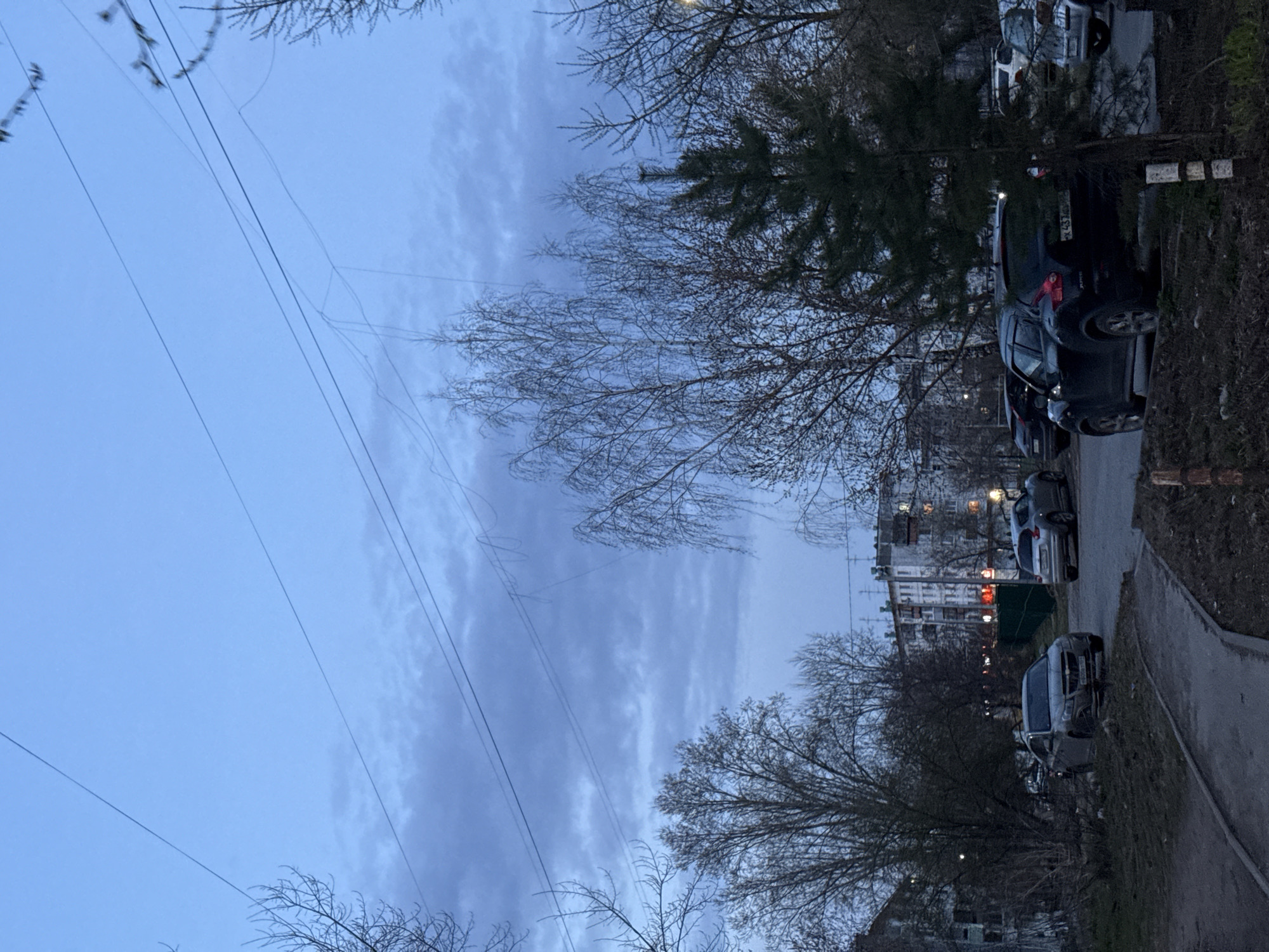 The image captures a residential street scene at twilight, likely in Chaikovsky, Russia. The sky is a subdued blue, partially covered by thin, elongated clouds, suggesting either early morning or late evening. Overhead, multiple utility wires or power lines crisscross the frame, some appearing loose or disconnected.
In the foreground and midground, a row of trees, predominantly bare deciduous trees typical of winter or early spring, line the roadside. Interspersed among them are a few dark green evergreen trees. A paved sidewalk or path runs along the right side of the frame, bordering an unkempt strip of ground. Several cars are parked along this strip, facing away from the viewer. One dark-colored SUV (possibly a Renault Duster) is prominent, with a partial license plate visible on its rear. The visible characters appear to be "X K 43", where "43" typically denotes the Kirov Oblast region code in Russian license plates.
In the background, multi-story residential buildings with multiple windows are visible. Some windows in these buildings show warm light emanating from within, reinforcing the impression of dusk or dawn. No people are visible, and the scene appears quiet and still. The overall mood is calm, somewhat muted by the low light and the skeletal appearance of the bare trees.