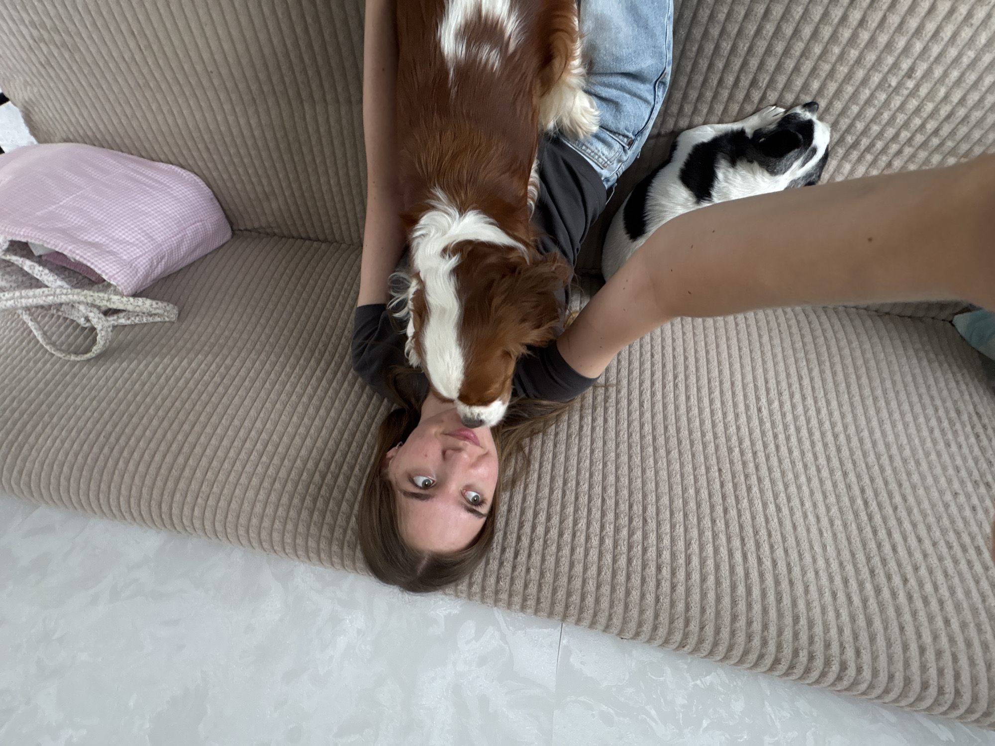 A young woman with long brown hair is sitting on a beige corduroy sofa, taking a selfie with a King Charles Spaniel. The dog is facing the woman and licking her chin. To the woman's left, another dog, a black and white terrier mix, is lying down on the sofa. A pink and white checkered bag with a floral handle is placed on the sofa to the right of the woman. The background is a lightly textured wall. The scene appears to be indoors, likely in a residential setting.
