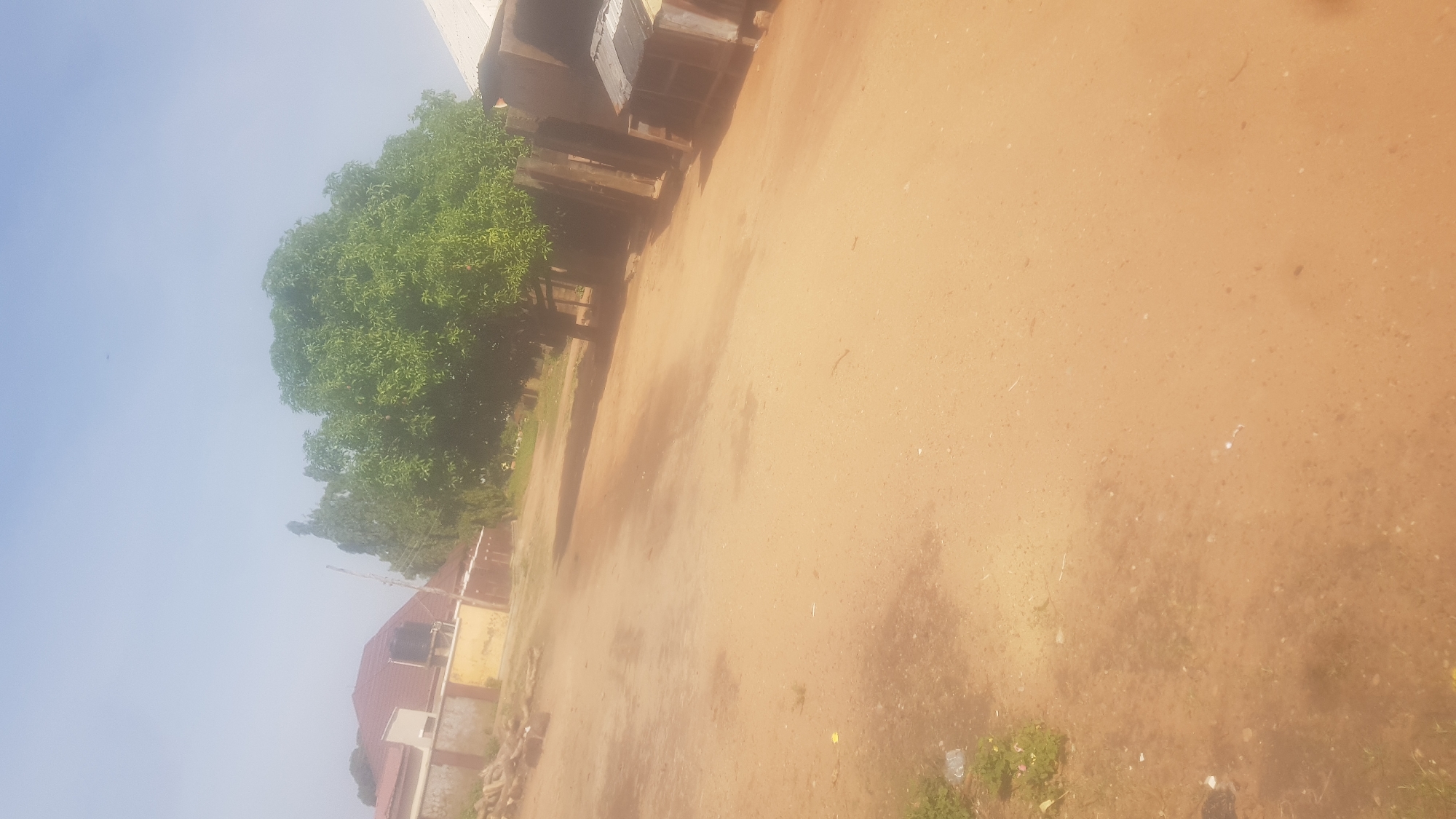 The image depicts an outdoor scene with a dirt ground and a clear sky. To the left of the frame, there is a large, lush green tree. Adjacent to the tree and extending further into the image is a building with a red roof and light-colored walls. The building appears to be a residential structure or perhaps a shop. In the background, there are hints of other structures and foliage. The ground is a light brown, dusty color, and there are scattered debris and some sparse vegetation on the right side of the image. The lighting suggests it is daytime, likely sunny, given the bright sky and the shadows cast. The image is oriented sideways, with the sky occupying the upper left portion and the ground filling the rest of the frame. No people or specific activities are visible, creating a static, observational feel to the scene. The overall impression is that of a quiet, possibly rural or semi-urban environment.