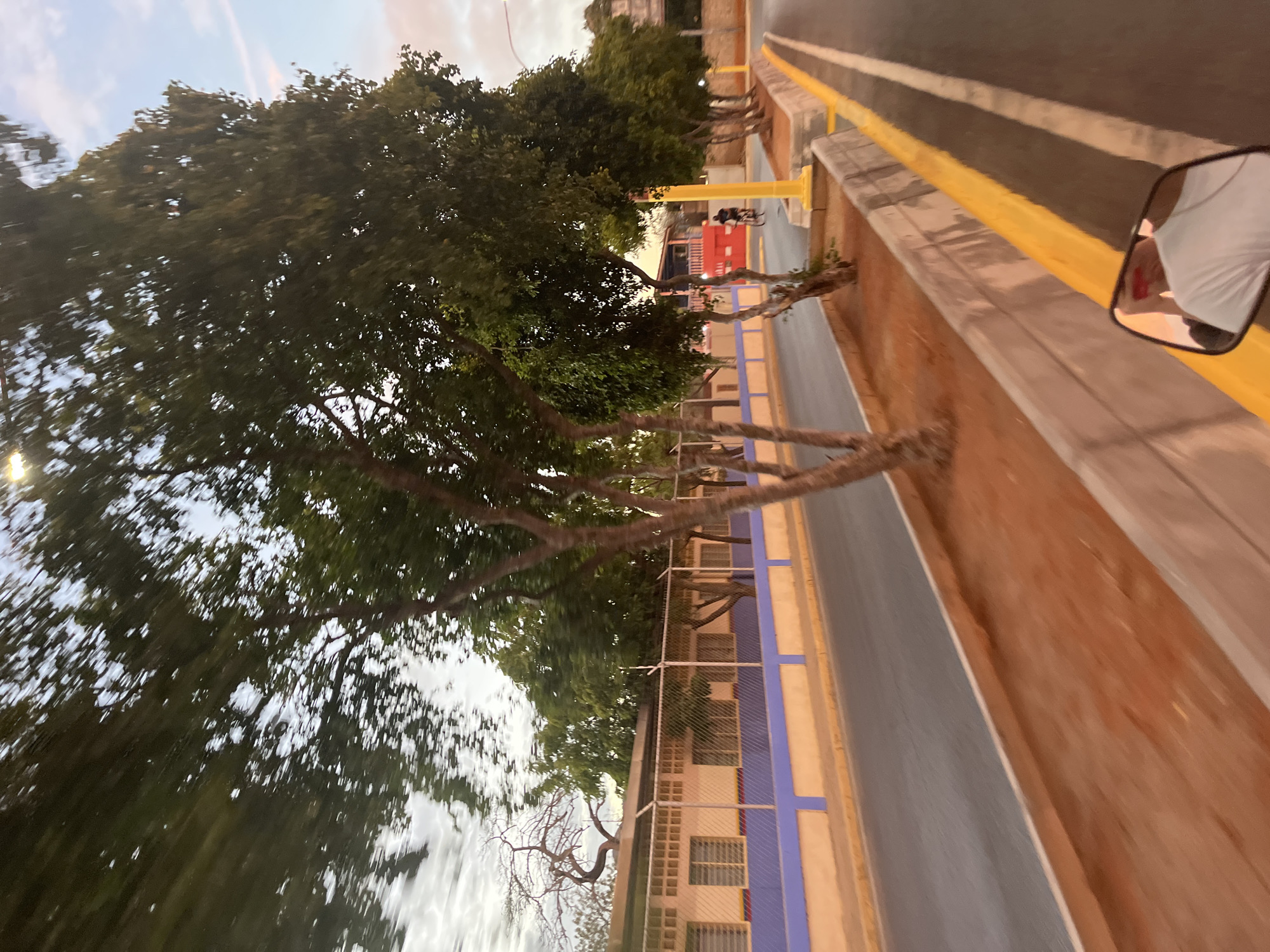 The image shows a street in Juan Griego, Venezuela, viewed from a moving vehicle (possibly a motorcycle), evident by the side mirror visible in the right side of the frame. The road has two lanes and is separated by a yellow line from a sidewalk area. Trees are planted along the sidewalk bordering what appears to be a school building or institutional structure behind a fence. A bicyclist is riding on the sidewalk. The sky is partially cloudy, indicating either dawn or dusk.