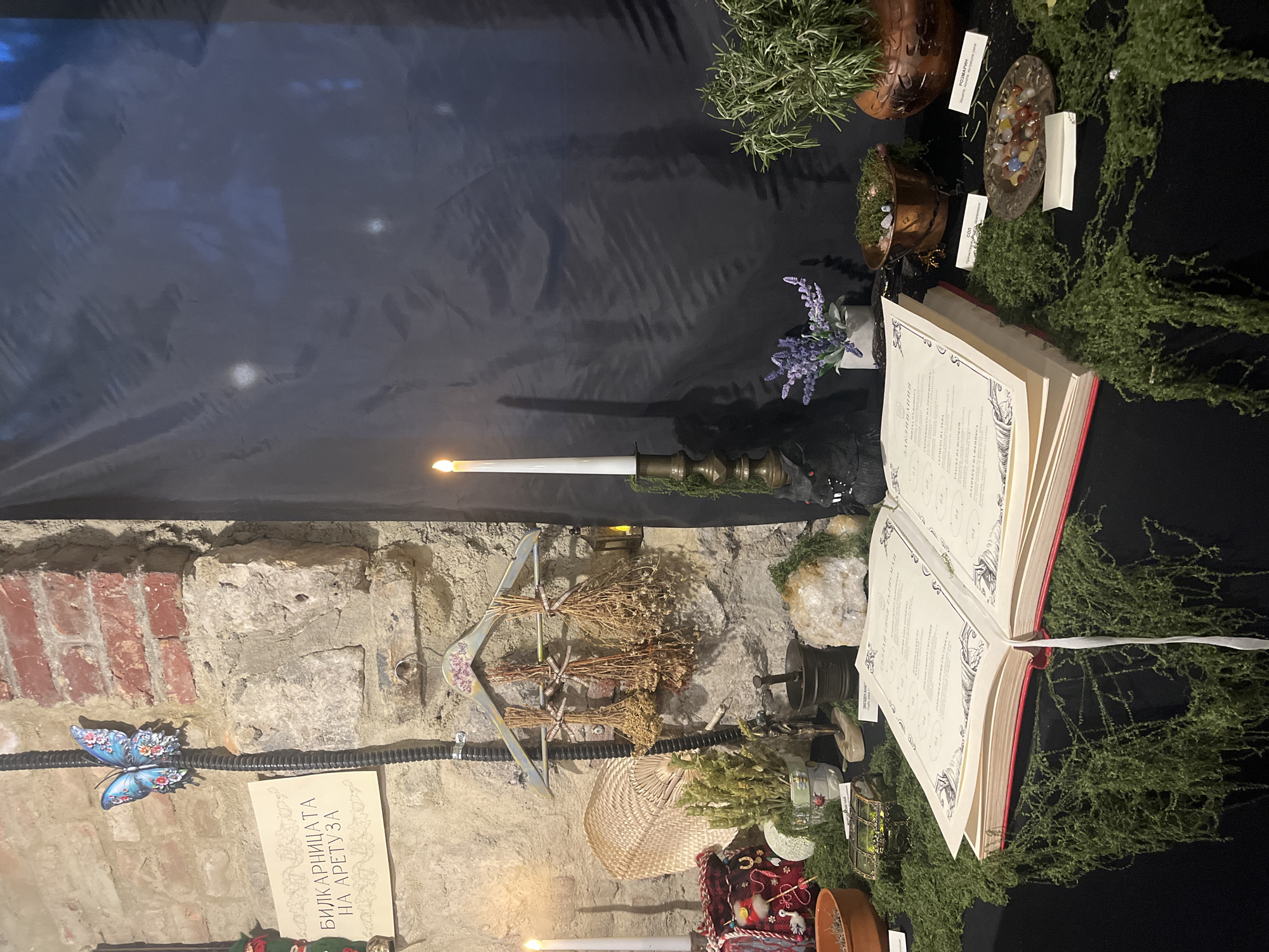 The image presents a display of items on a surface, seemingly a table, with a backdrop of a brick wall and dark drapery. A large open book with decorative borders on its pages is centrally positioned and surrounded by green moss. To the left of the book are objects including a vintage-style coffee grinder, a clear quartz crystal, a small woven fan, dried herbs, and a decorative hanger adorned with tied bundles of dried flowers. There is also a small sign, a pipe, and a butterfly decoration affixed to the wall. On the table, near the book and arranged among the moss, are various potted plants (such as rosemary and lavender), decorative stones, and small containers, some with labels. A lit candle in a brass holder provides some illumination, while another candle is visible near the bottom of the frame. The image includes a sign with text in Bulgarian, which reads "БИЛКАРНИЦАТА НА АРЕТУЗА," or "The Apothecary of Aretusa." The location of the scene is Varna, Bulgaria, as indicated by the language on the sign, the decor and the sign.