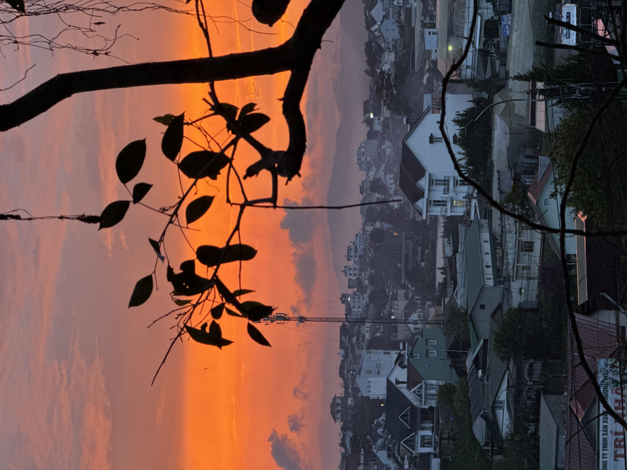 A view from Lâm Viên - Đà Lạt, Vietnam, shows a cityscape silhouetted against an orange and pink sunset sky. Branches and leaves are darkly silhouetted in the foreground. Mountains are visible in the background. A tall crane stands in the middle distance. Various houses and buildings dot the cityscape. A commercial sign in Vietnamese is on the right.