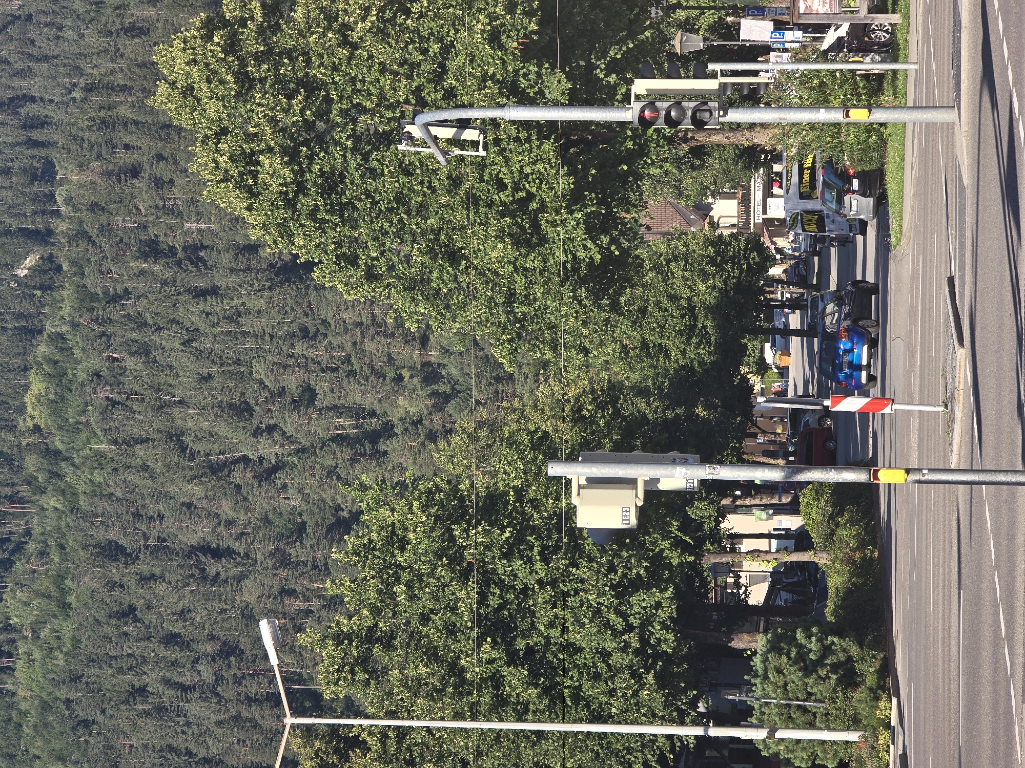 This image depicts a street scene in Garmisch-Partenkirchen, Germany, characterized by a dense forest covering a mountainside in the background. In the foreground, a paved road with lane markings indicates a traffic intersection. Several vehicles are visible, including a blue hatchback and a red minivan. Traffic lights and street lamps are present. Large, leafy trees line the street, casting shadows on the road. Buildings, including one with a sign that reads "HOTEL MAIER," are visible behind the trees. The overall atmosphere is that of a sunny day in a town nestled within a mountainous, forested region.