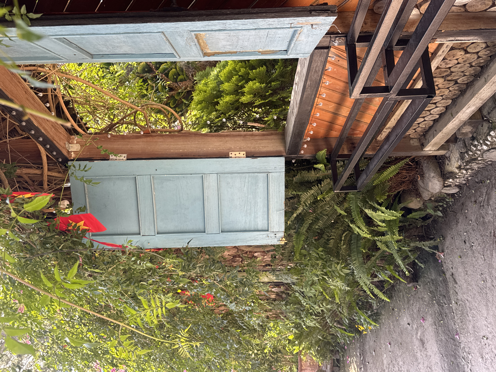 The image depicts an exterior view of a wooden structure, likely a cafe or guesthouse, in Da Lat, Vietnam. The structure features light blue shutters on a window, one of which is open, revealing lush green foliage and trees beyond. Red and yellow decorative ribbons are draped from overhead branches. The foreground shows a pathway and dense green plants, including ferns, bordering the structure. The building's exterior is clad with horizontal wooden planks and a railing made of black metal bars. The overall scene suggests a tranquil, nature-immersed setting within Da Lat, a city known for its verdant landscapes and French colonial architecture. There are no people visible in the image.