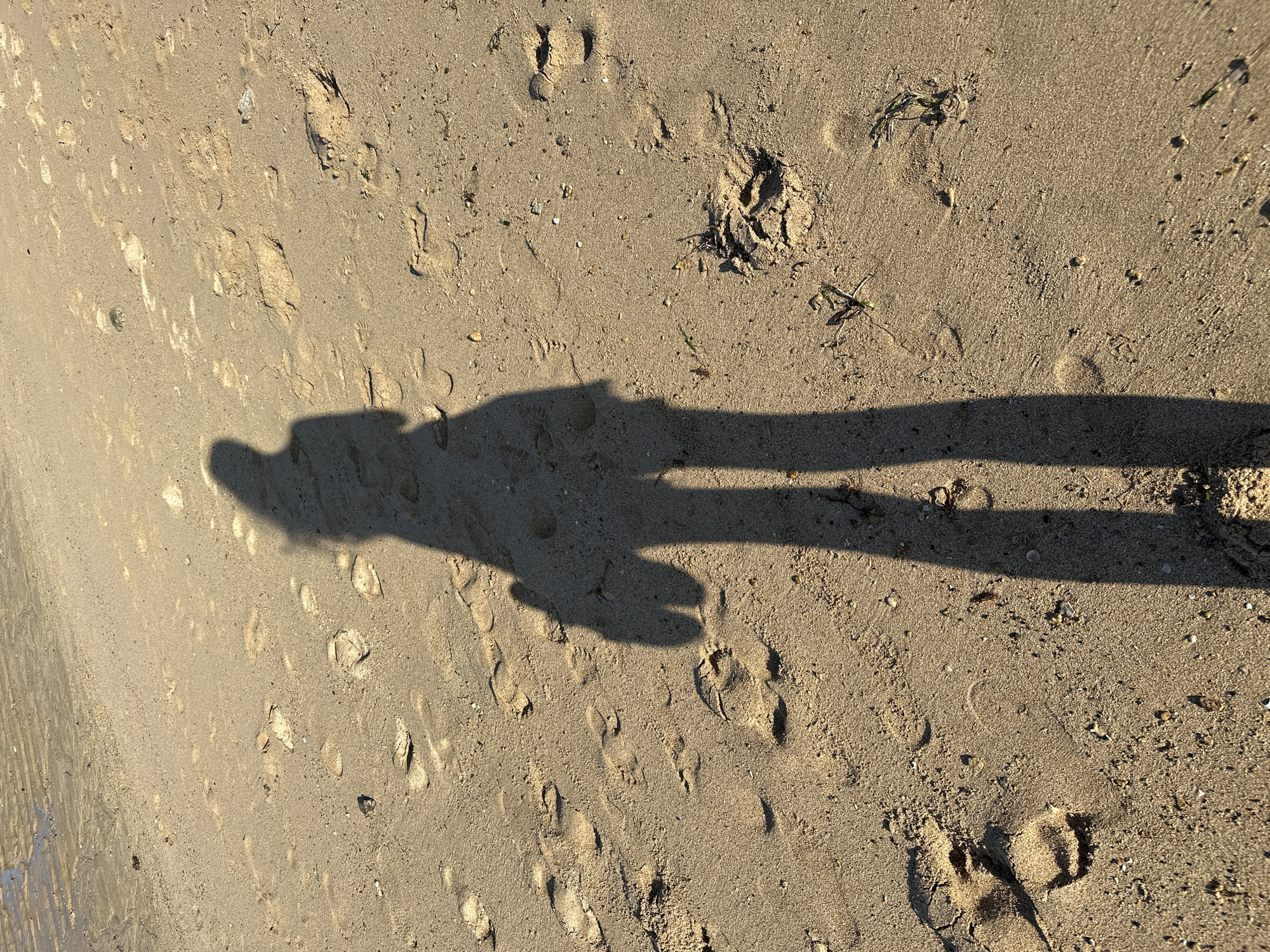 The image shows the shadow of a person standing on a sandy beach. The sand is wet in some areas and dry in others, with footprints visible throughout. Small pieces of shell and debris are scattered across the sand. The shadow is elongated, indicating the sun is low in the sky, casting long shadows. The person appears to be holding something in their left hand, casting a secondary shadow. The location is the shore of Kuta Selatan, Indonesia, characterized by its sandy beaches.