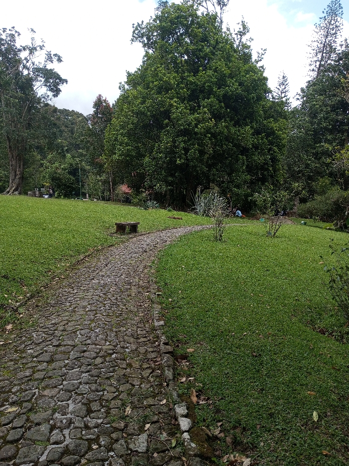 The image displays an outdoor scene in Serchhip, India, characterized by a winding cobblestone path traversing a manicured green lawn. The path, constructed from irregular grey stones, originates in the foreground and curves gently towards the upper right of the frame. Flanking the path are expansive areas of short, bright green grass. In the mid-ground, a low, dark stone bench is positioned to the left of the path. To the right of the path, in the mid-ground, a single individual wearing blue attire is visible in a crouched position on the grass, engaged in ground-level activity, partially obscured by surrounding vegetation. The background features a dense canopy of tall, green trees and foliage, with a prominent large-trunked tree on the far left. A reddish-brown rooftop is faintly discernible amidst the distant foliage on the left. The sky above is partly cloudy.