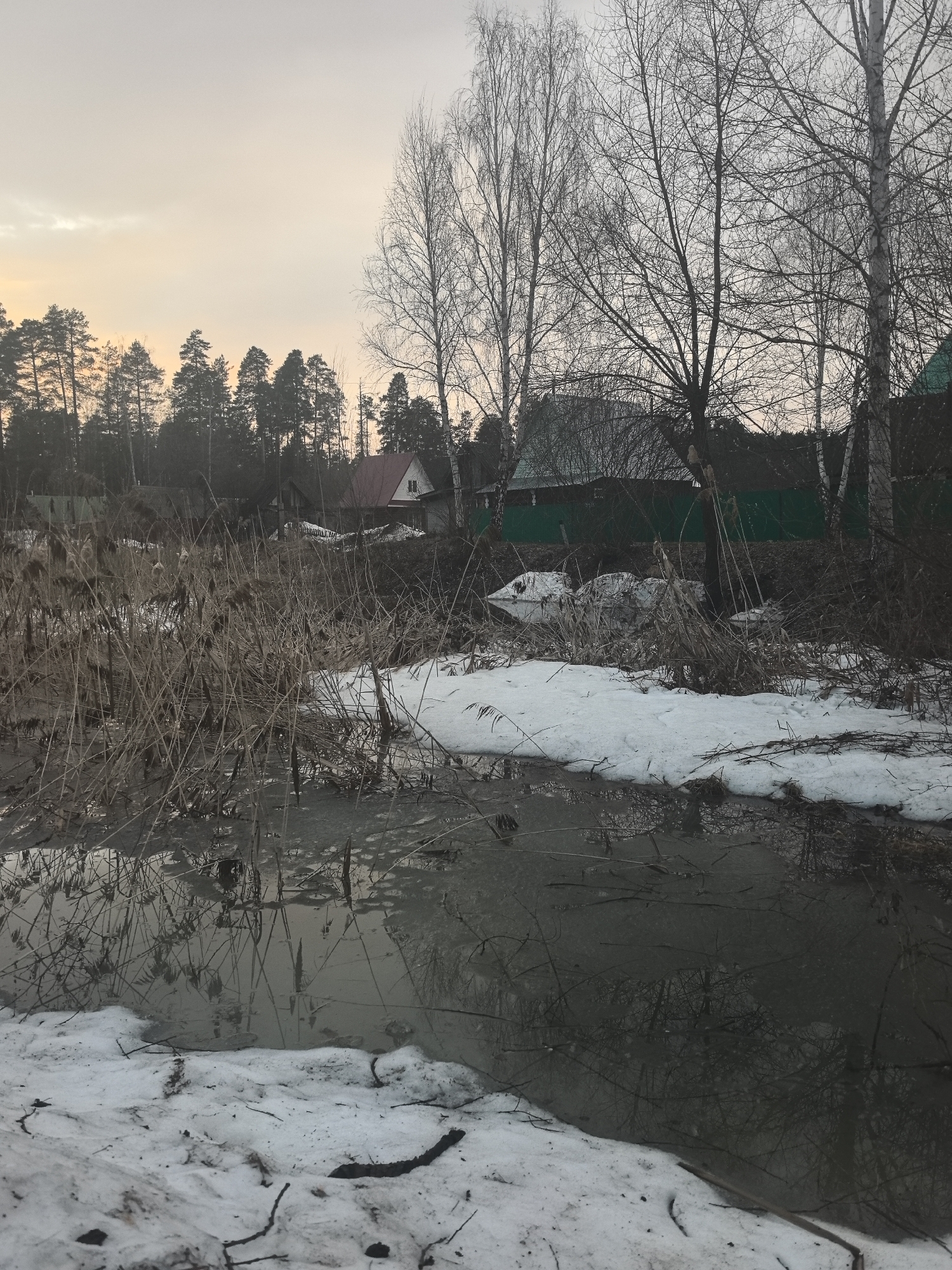 The image depicts a partially frozen, muddy area near Noviy, Russia. Remnants of snow cover the ground around a small body of water that reflects the silhouettes of bare trees and the overcast sky. Dried reeds and vegetation line the edges of the water. In the background, there are houses with green fences and a forest visible under a pale orange sky. No people are visible in the frame.