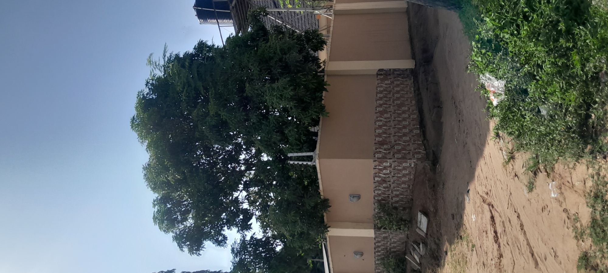 This is a full, vertical shot of an exterior scene on a sunny day in Jalingo, Nigeria. A large, leafy tree dominates the upper half of the frame, its branches obscuring the light blue sky. Below the tree is a tan-colored wall topped with an electric fence. The lower portion of the wall has a decorative pattern of square tiles in shades of brown and beige. To the left of the wall, there are two white outdoor light fixtures. In front of the wall, on the ground, are several concrete slabs. The foreground of the image shows a dirt path with tire tracks and patches of green vegetation. In the upper right corner, a black water tank is visible on a metal platform, suggesting a residential or commercial building. There are no people or animals visible in the image.