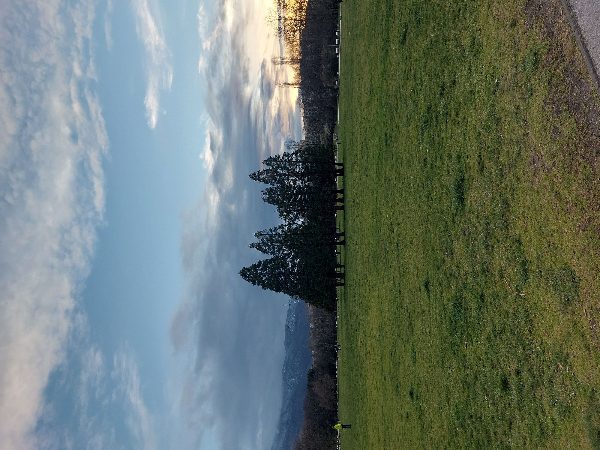 The image shows a landscape in Unknown, Unknown. A large green field occupies the right half of the view. A row of tall, dark green trees stands along the edge of the field, separating it from a line of sparse trees and possibly a road or path further back. Beyond the trees, mountains are visible in the distance, partly obscured by clouds. The sky takes up the left half of the image, with a mixture of blue sky and white clouds. One person in a yellow-green safety vest is on the field.