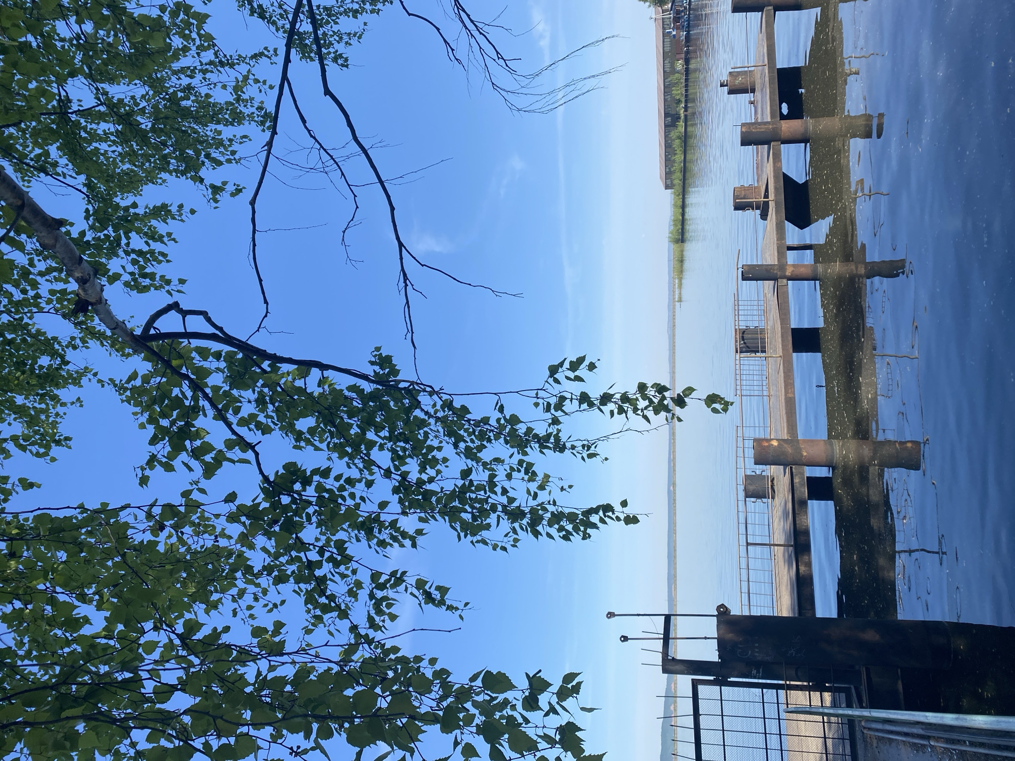 The image depicts a waterfront scene in what is presumed to be Chaikovsky, Russia, based on the prompt. The foreground shows foliage from trees, with branches and leaves partially obscuring the sky. The sky is a bright, clear blue. In the middle ground, a metal pier or dock extends into the water. The pier appears to be constructed with metal supports and fencing. The water is calm with reflections visible. Beyond the pier, there appears to be a distant shoreline with some buildings or structures visible along the water's edge. The picture is taken from a slightly elevated position, looking out over the water and the pier.