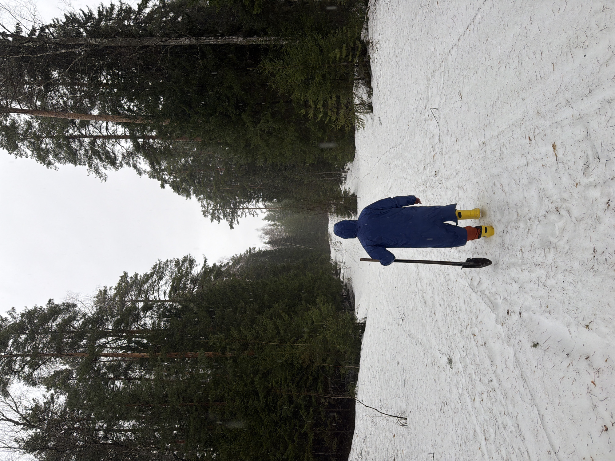 A person in a blue hooded coat and yellow boots is standing in a snowy environment, possibly a park or wooded area in Chaikovsky, Russia. The person is holding a shovel. The area is surrounded by tall trees with snow-covered ground. The sky is overcast, suggesting a winter day.
