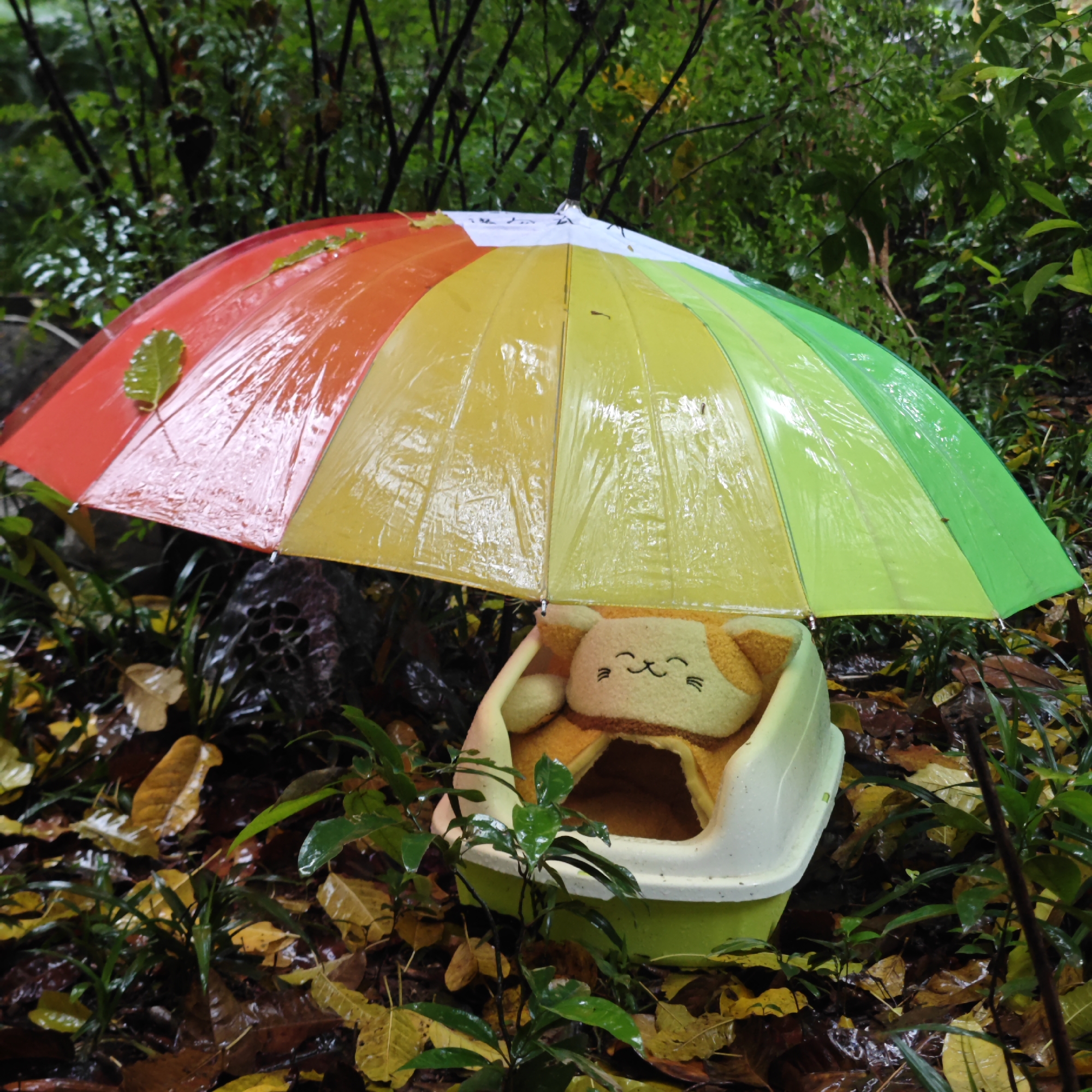 The image depicts a charming outdoor scene, likely a garden or natural area in Yuzhong District, China, under rainy or recently wet conditions. A vibrant, rainbow-colored umbrella, featuring distinct sections of red, orange, yellow, and green, is open and positioned prominently in the center, providing shelter. Its surface is visibly slick with water droplets, reflecting the wet weather, and a few green leaves rest upon it.
Beneath the umbrella, nestled within a white and lime-green plastic container (possibly a small pet bed or child's potty), is a cozy, cat-shaped plush item. This plush figure is primarily beige and brown, with an embroidered, smiling face, conveying a sense of contentment and warmth despite the elements.
The surroundings are lush and moist. The background consists of dense, dark green foliage and branches, while the foreground and ground beneath the umbrella are covered with wet, fallen leaves in shades of yellow and brown, interspersed with fresh green undergrowth. The overall lighting is soft, suggesting an overcast day. No discernible text is clearly visible on the umbrella or elsewhere in the image. The scene evokes a feeling of whimsical protection and coziness amidst the rain.