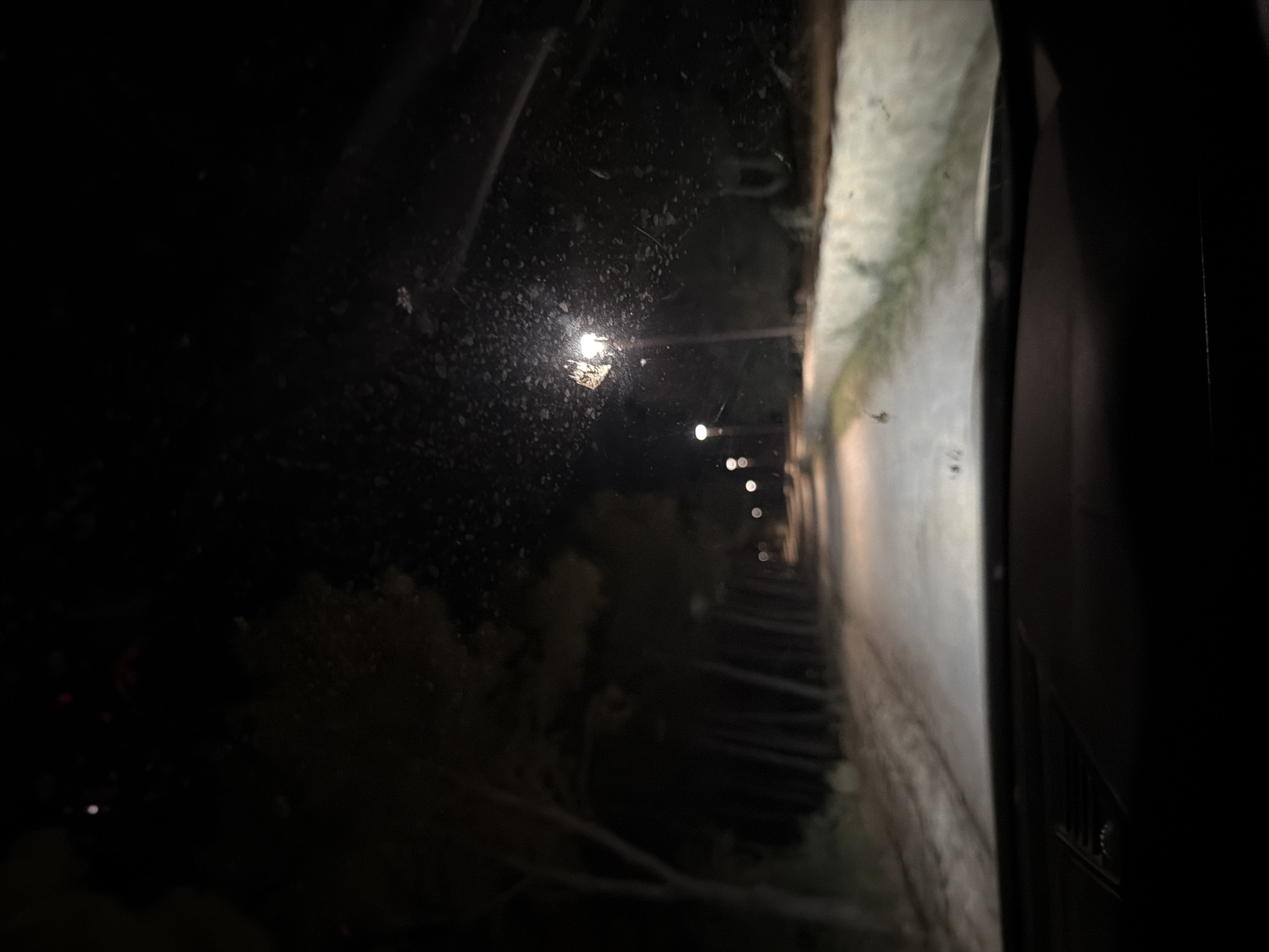 The image depicts a nighttime view from inside a vehicle, looking through the windshield. The road ahead is illuminated by the vehicle's headlights and several streetlights. The road is flanked by trees on the left and a low wall with vegetation on the right. The windshield shows some water droplets or dirt. The environment appears to be a quiet, tree-lined road, possibly in a rural or suburban area. No people or specific landmarks of Cannole, Italy are identifiable.