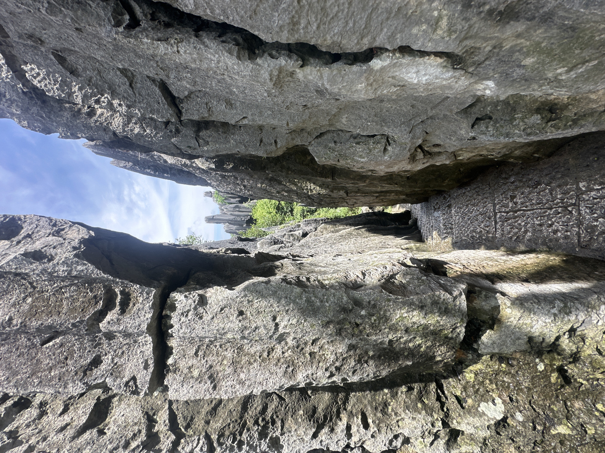 The image depicts a narrow pathway between towering, weathered grey rock formations, characteristic of the Stone Forest (Shilin) in Kunming, China. The path is paved with rough, rectangular stones, worn smooth in places from foot traffic. Sunlight filters down from the bright blue sky, casting shadows and highlighting the textured surfaces of the rocks. Vegetation, including green trees, is visible in the distance through the gap between the rock spires. The geological formations are sharp, jagged, and appear to be karst limestone, sculpted by erosion over millennia. The scene conveys a sense of natural wonder and the passage of time.